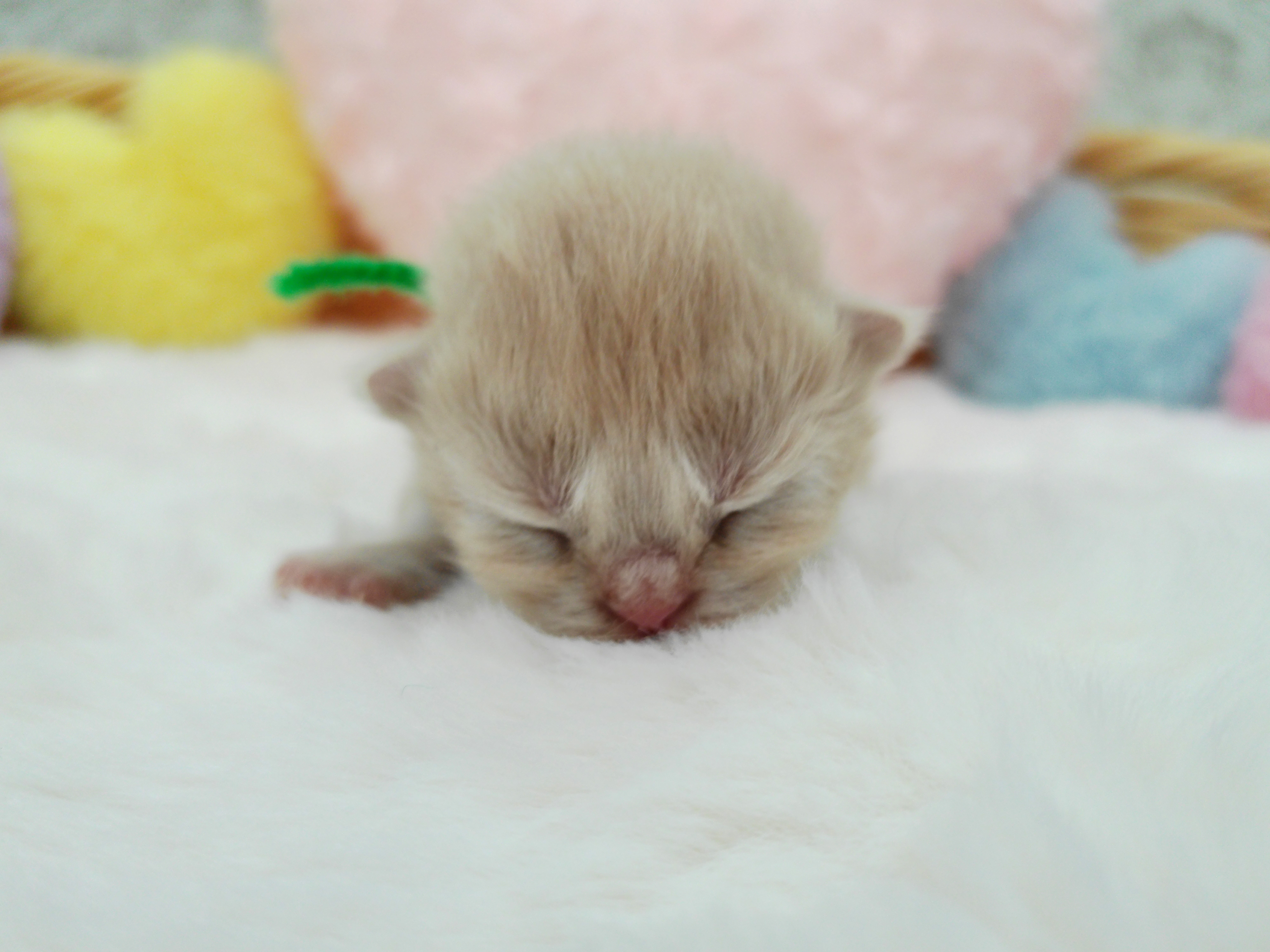 赤ちゃん写真1-1