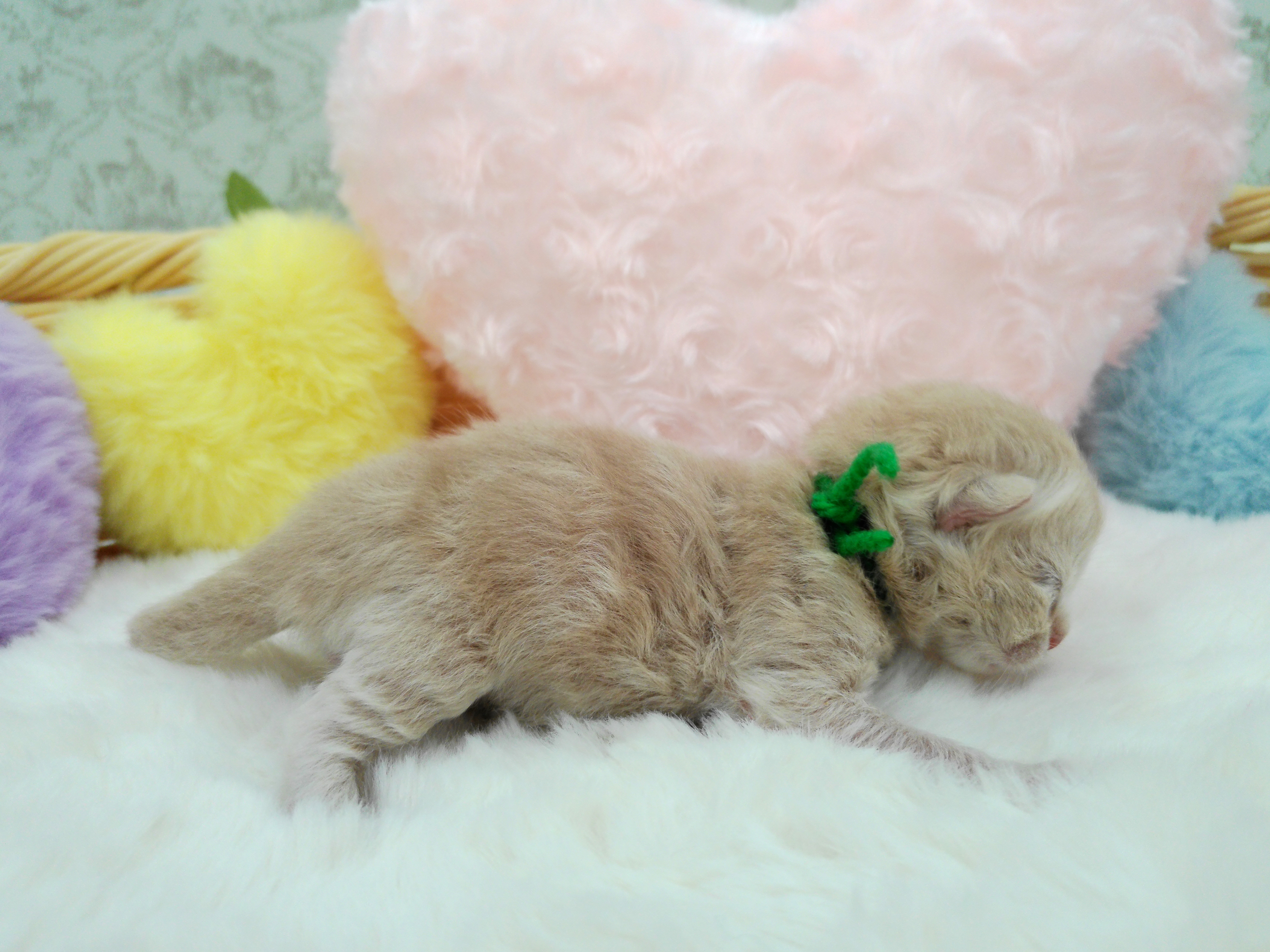 赤ちゃん写真1-2