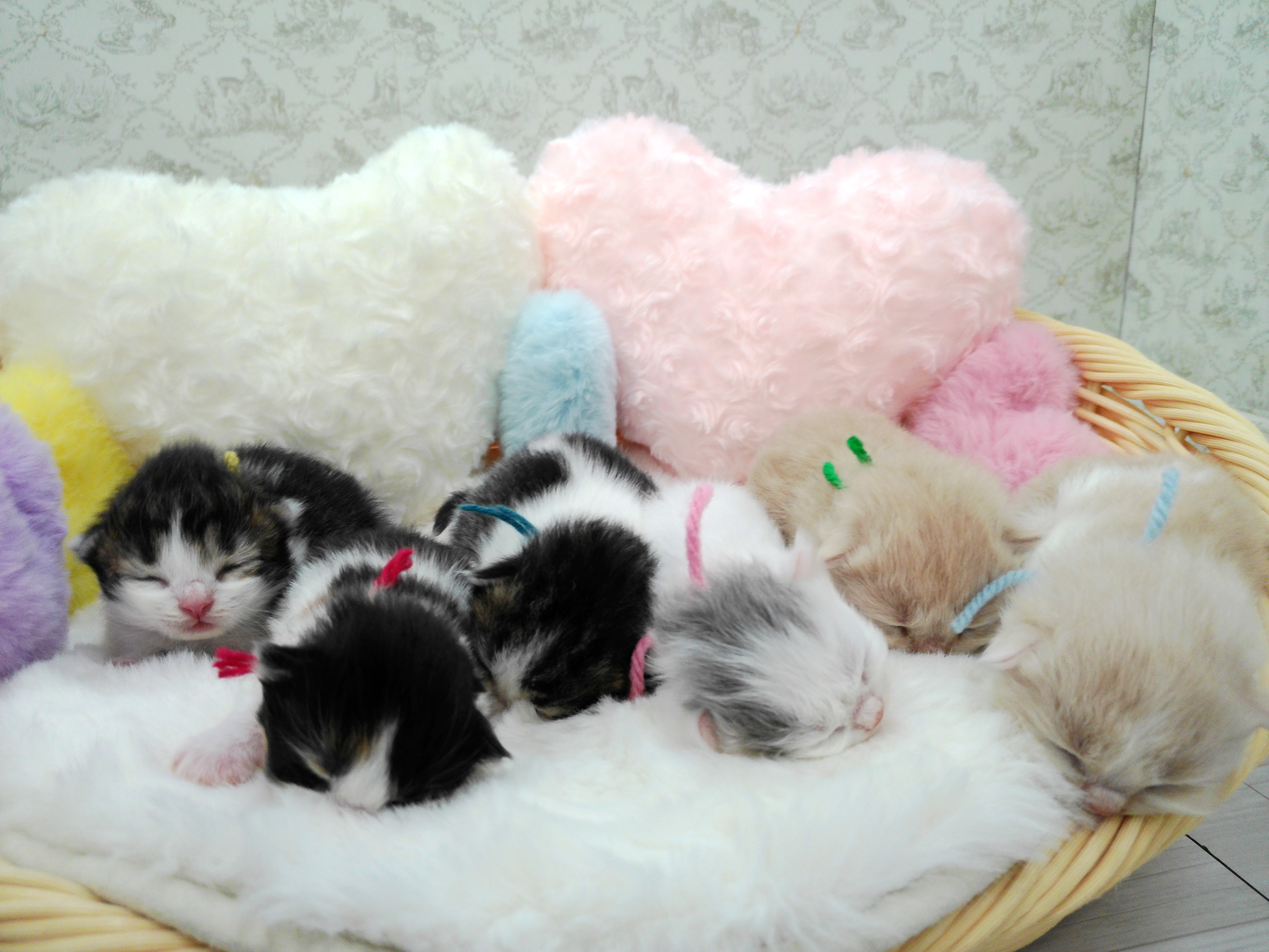 赤ちゃん写真1-3