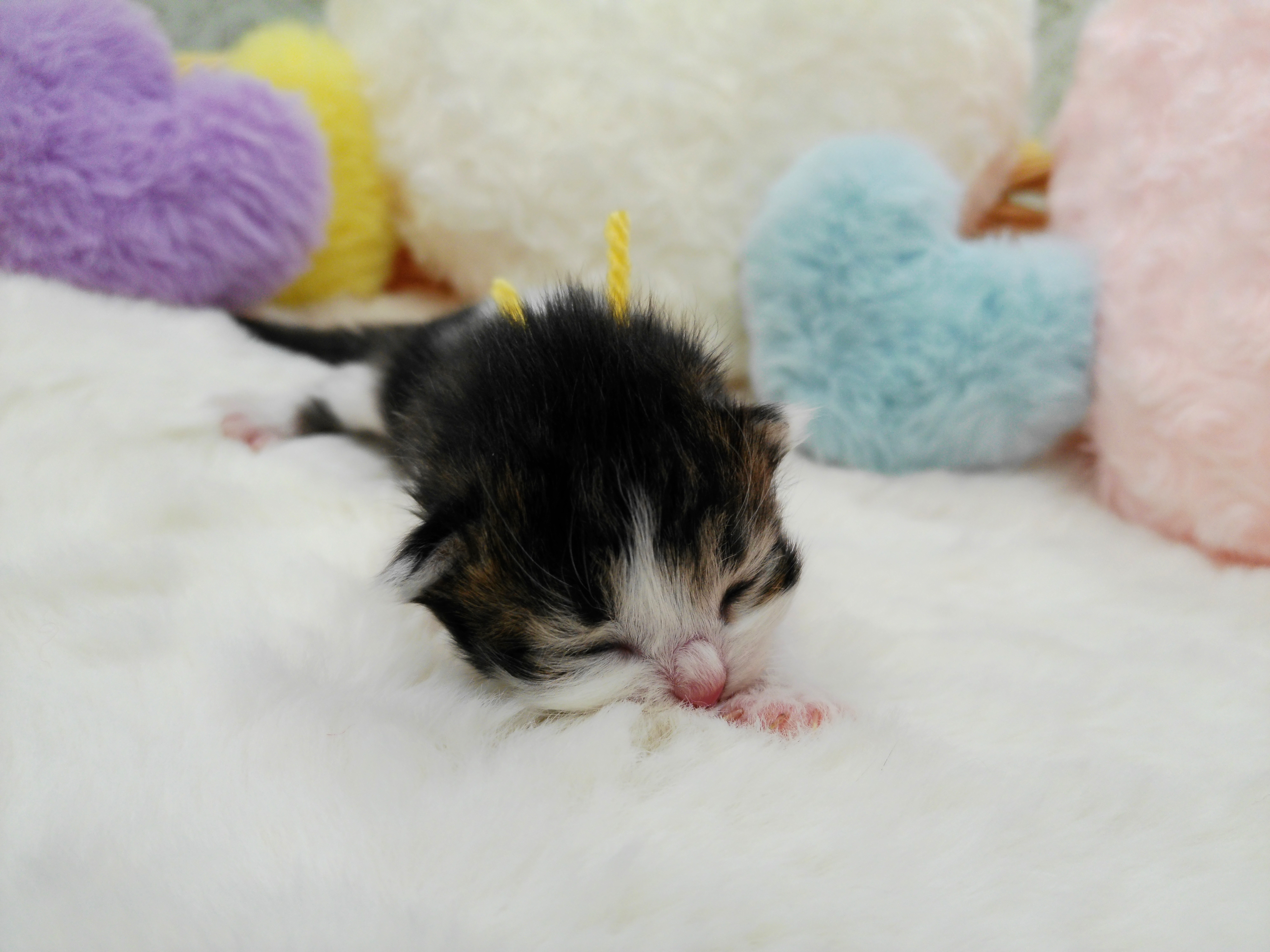 赤ちゃん写真1-1