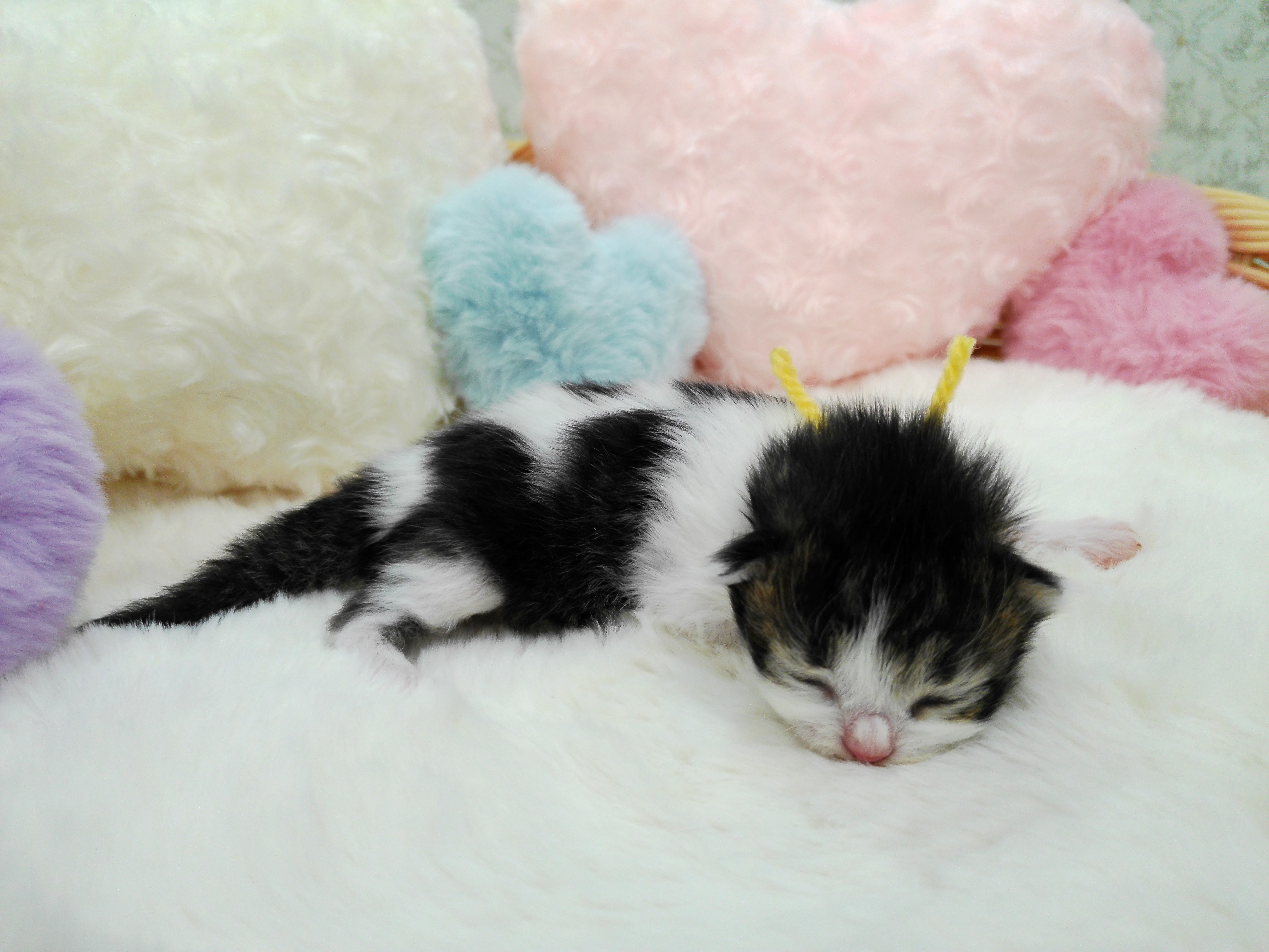 赤ちゃん写真1-2
