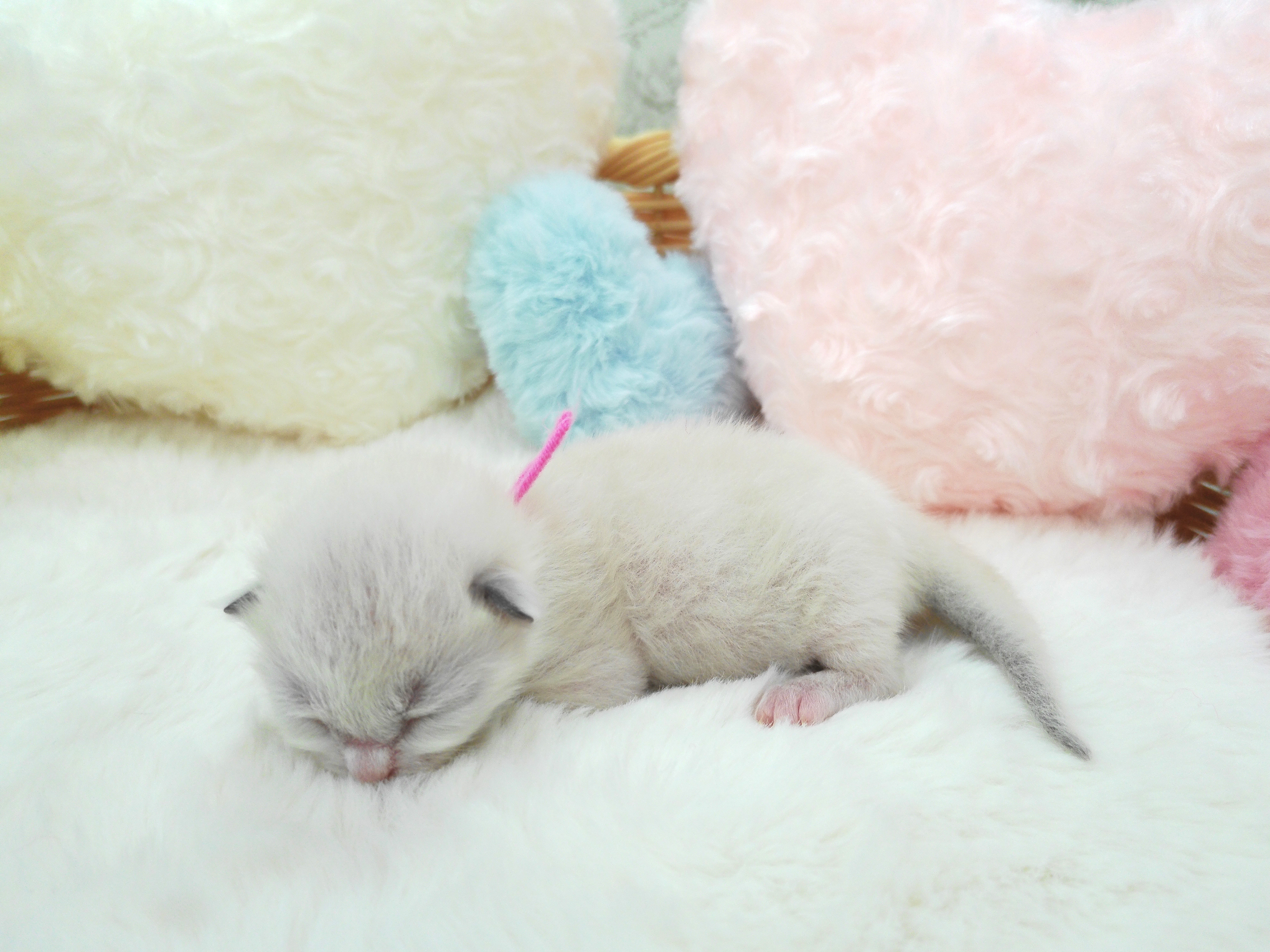 赤ちゃん写真1-2