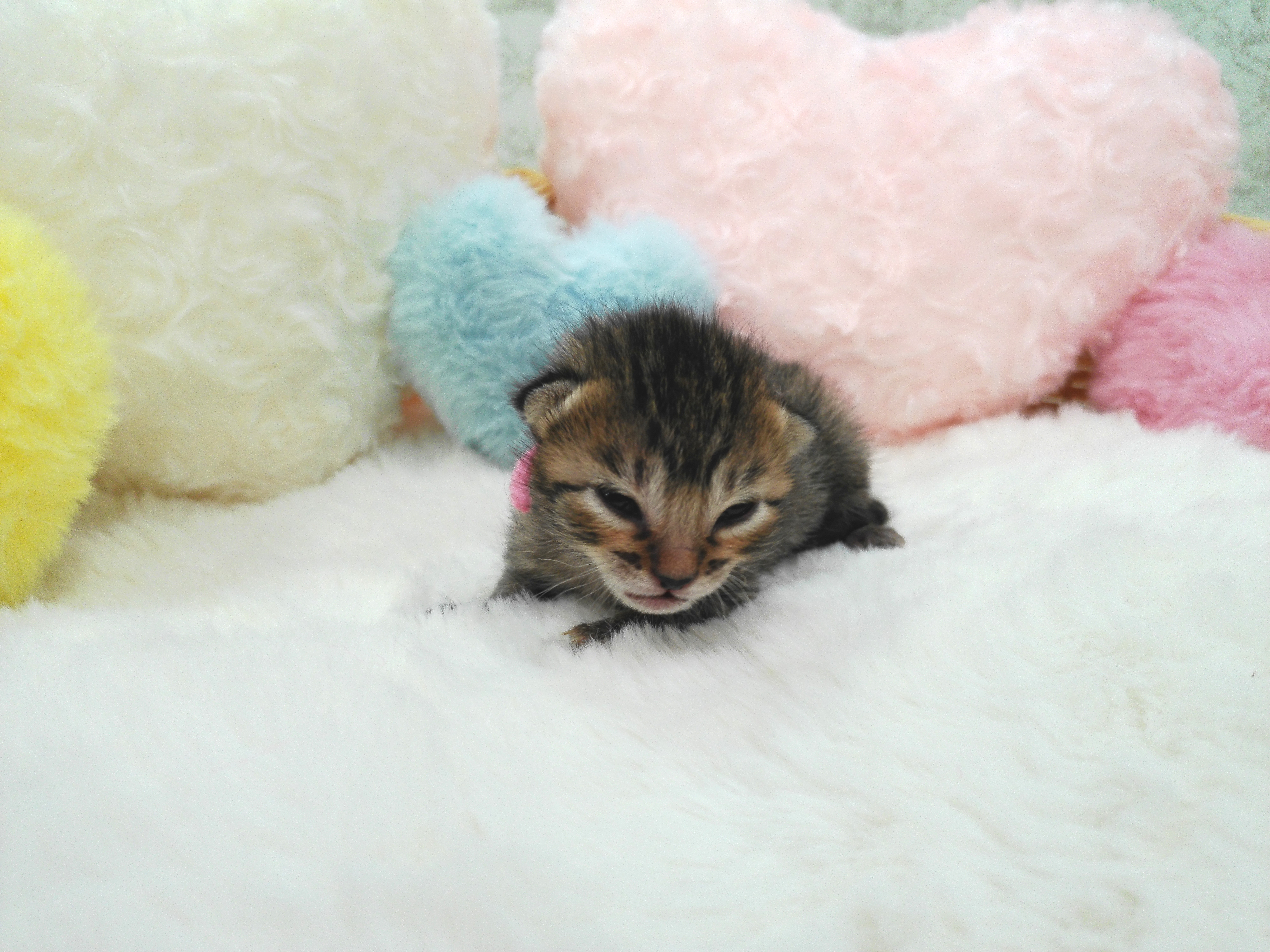 赤ちゃん写真1-1