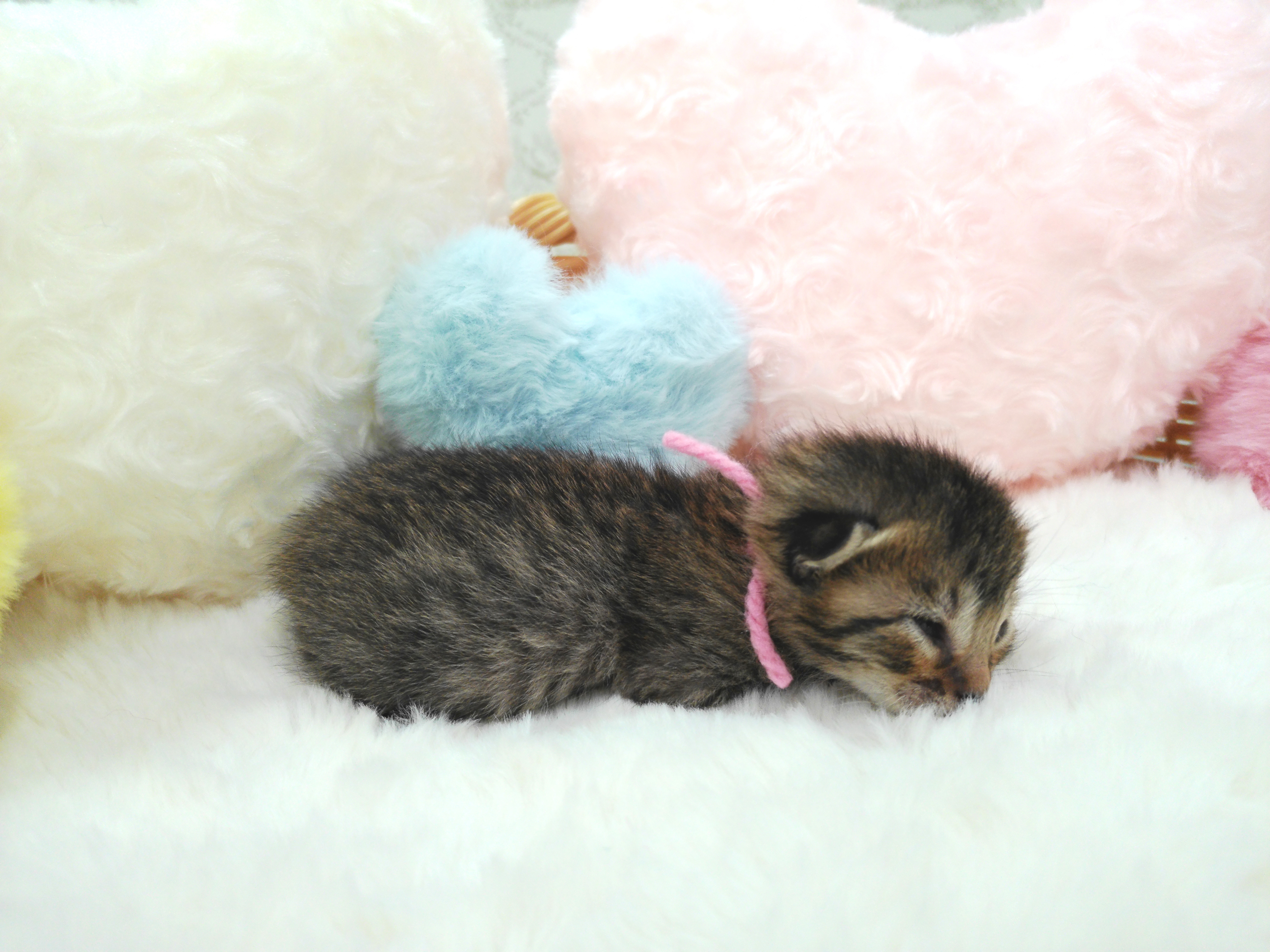 赤ちゃん写真1-2