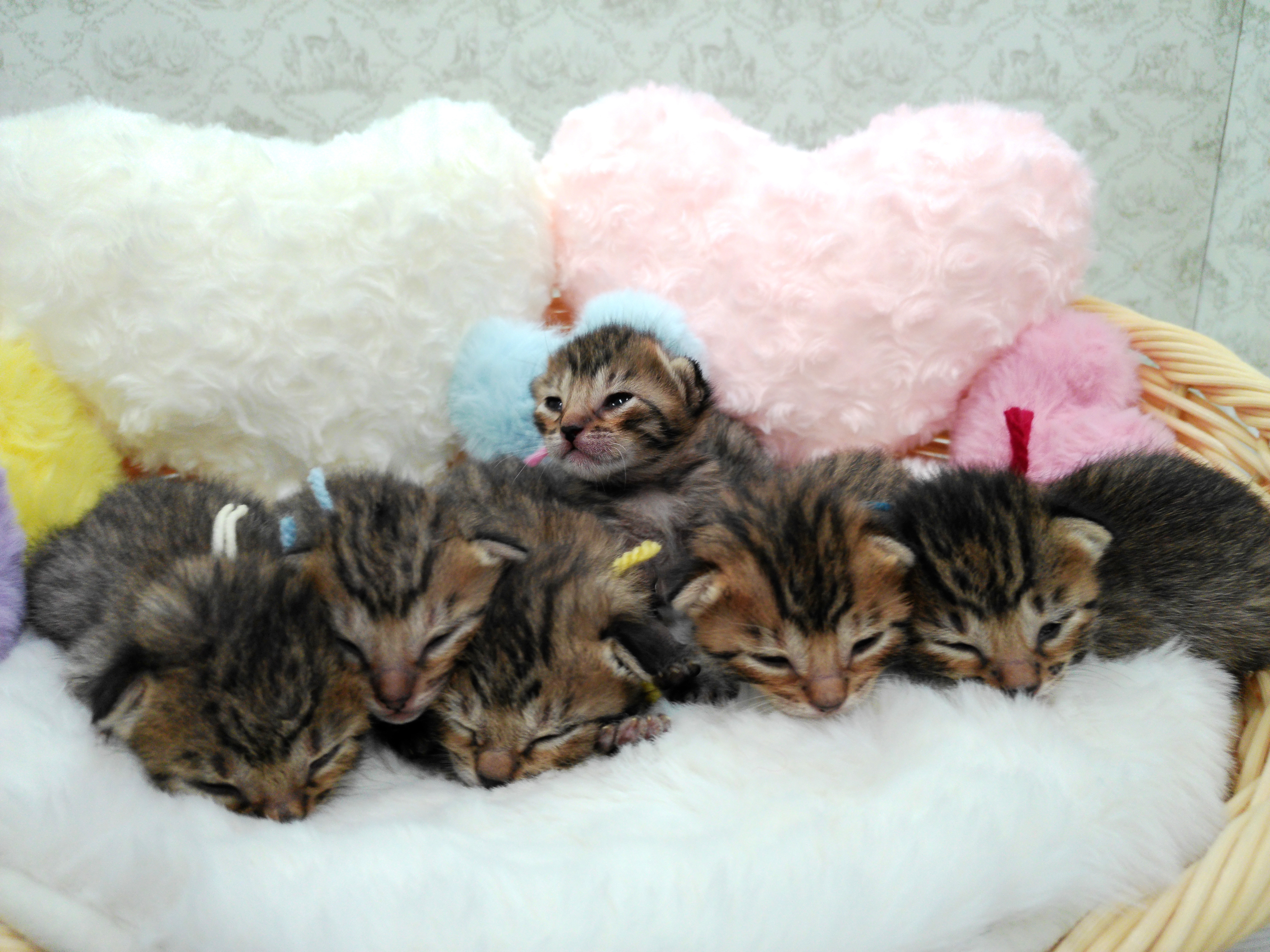 赤ちゃん写真1-3