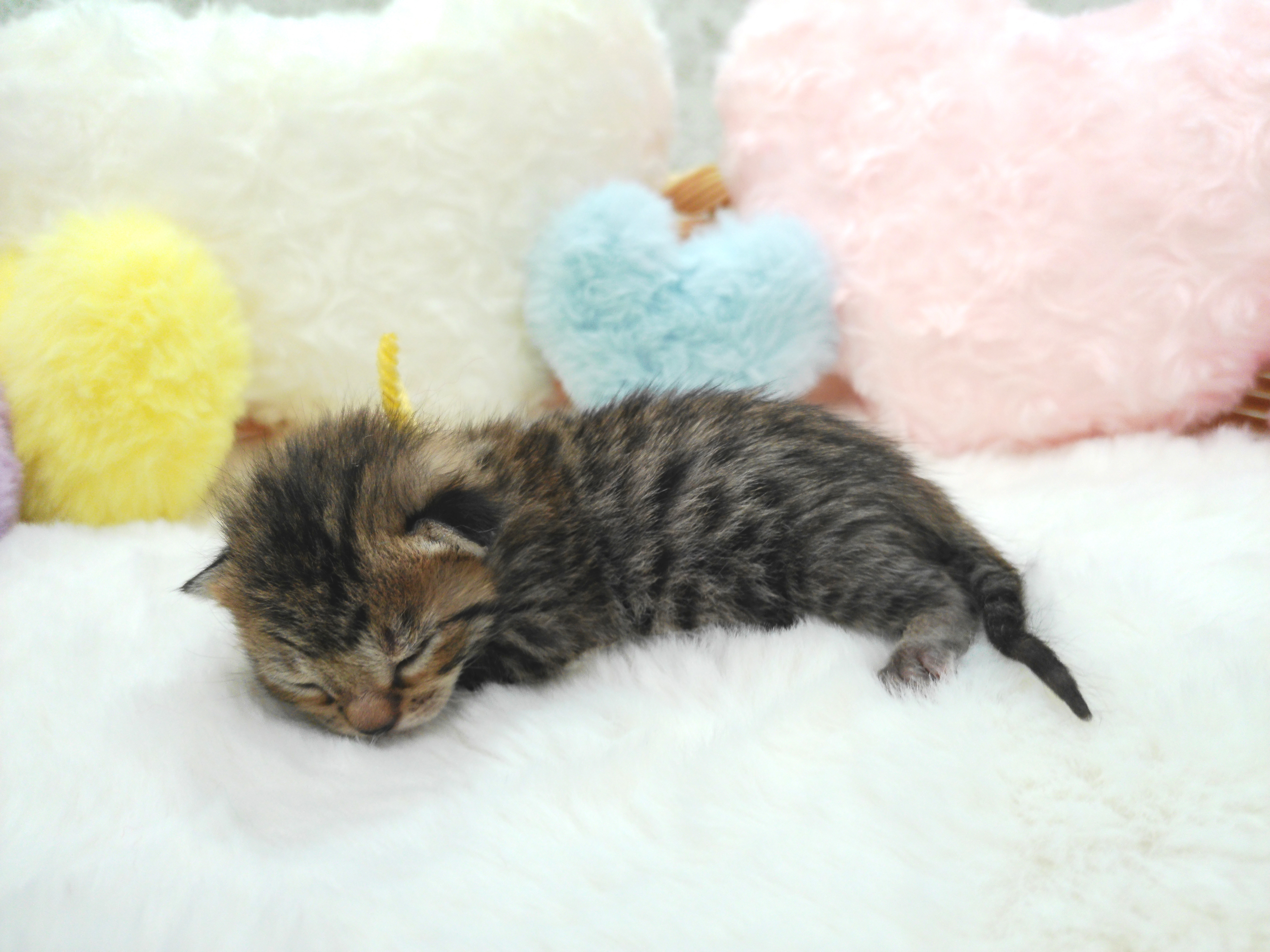赤ちゃん写真1-2