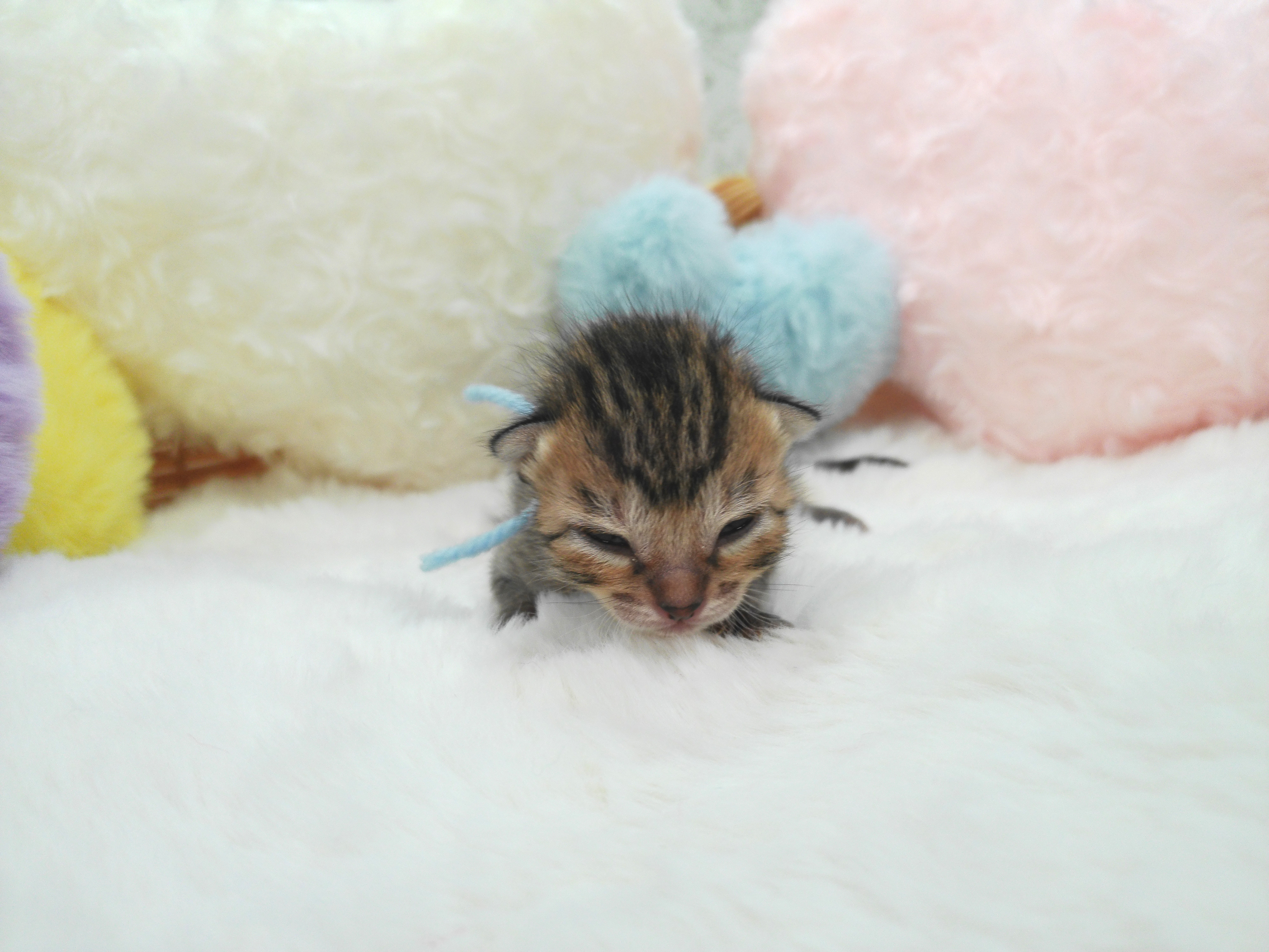 赤ちゃん写真1-1
