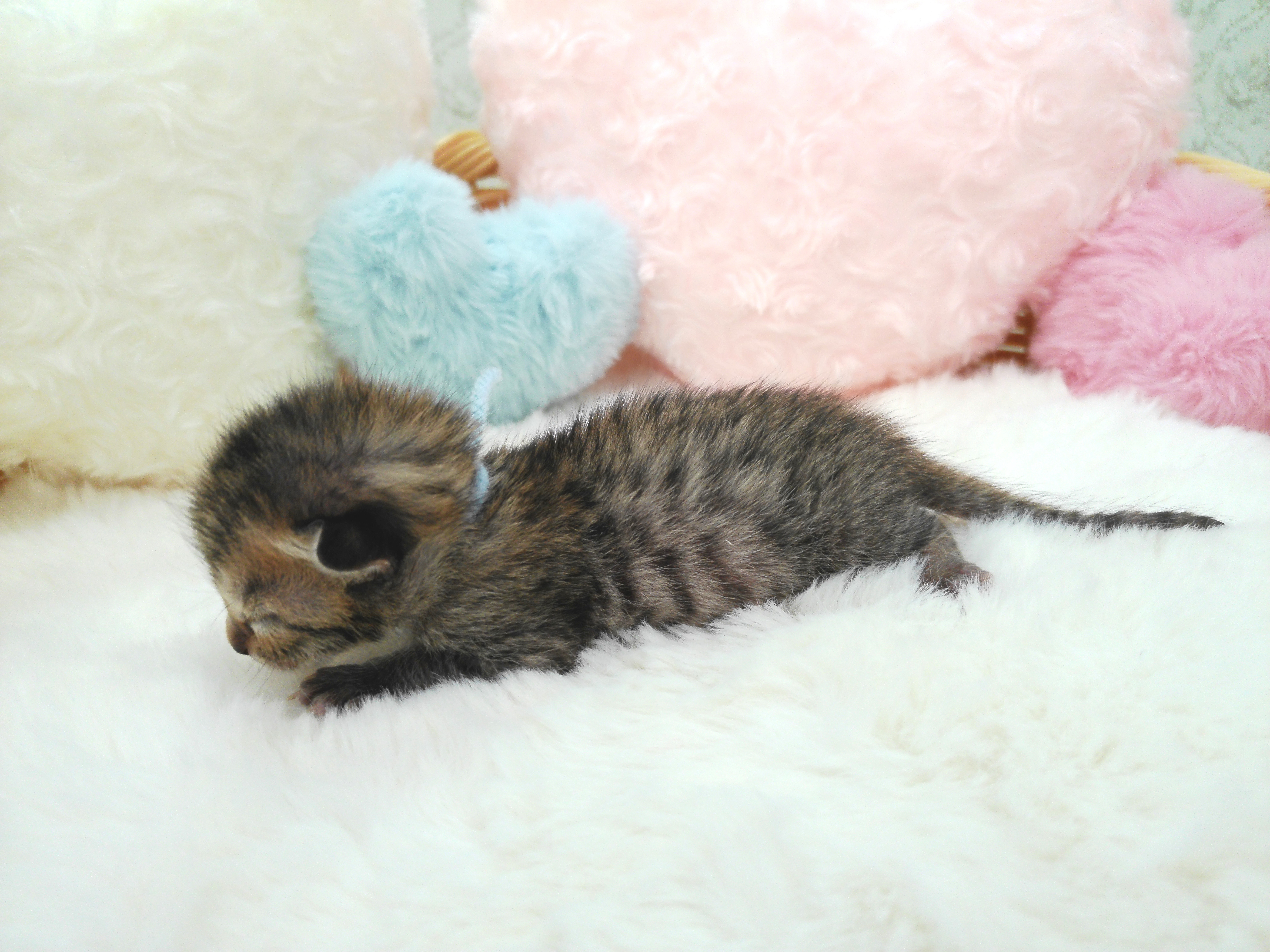 赤ちゃん写真1-2