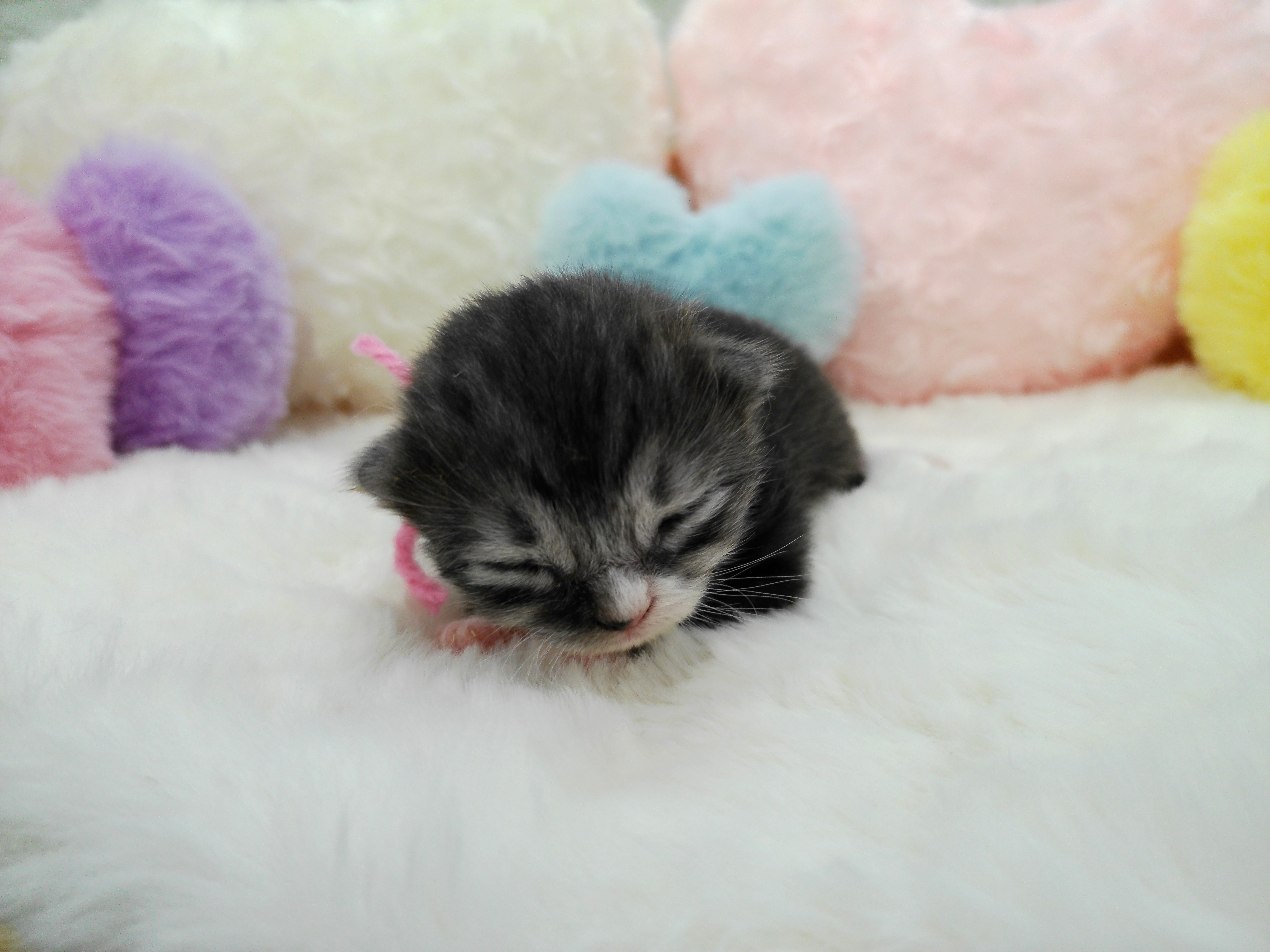 赤ちゃん写真1-1