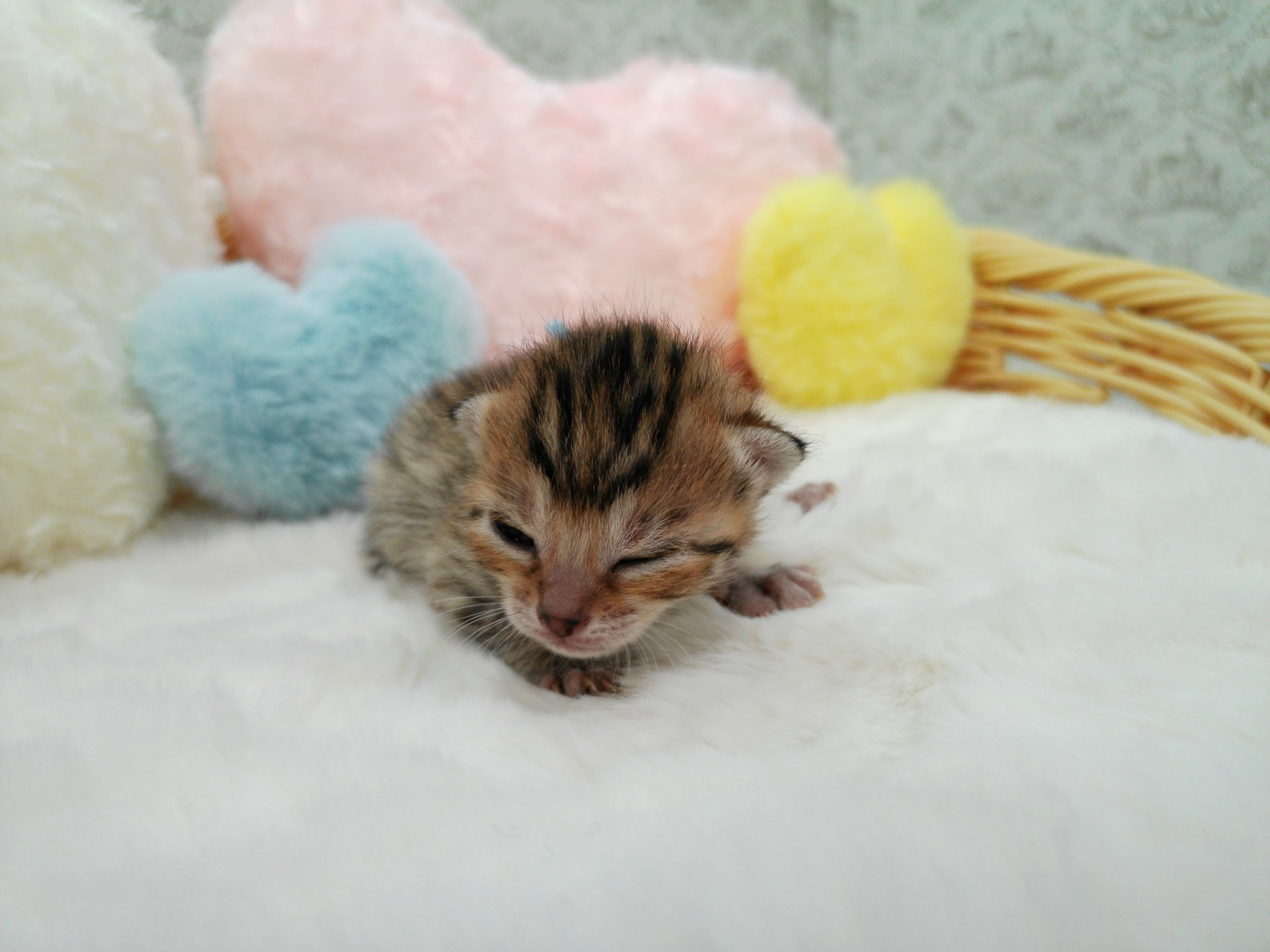 赤ちゃん写真1-1