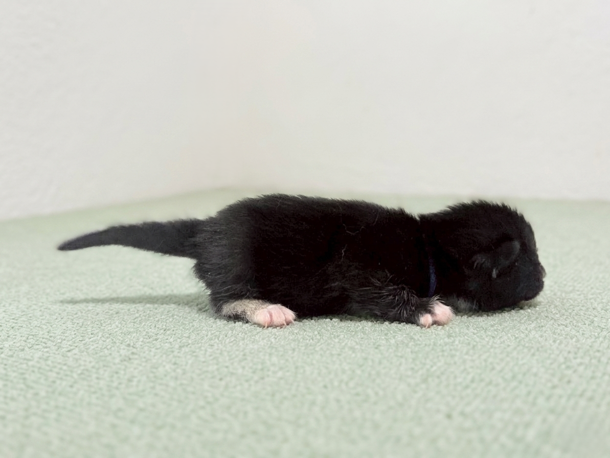 赤ちゃん写真1-2