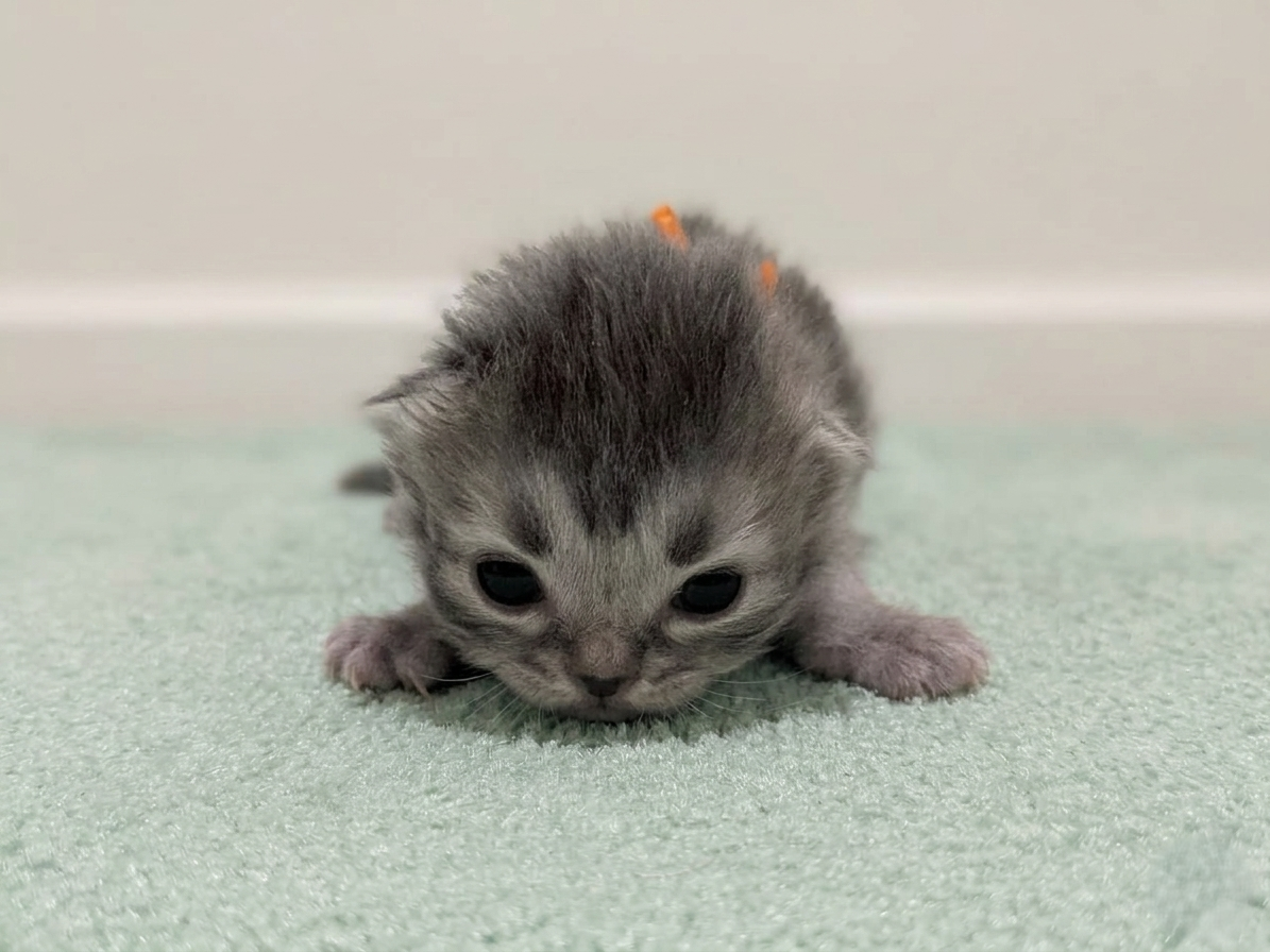 赤ちゃん写真1-1