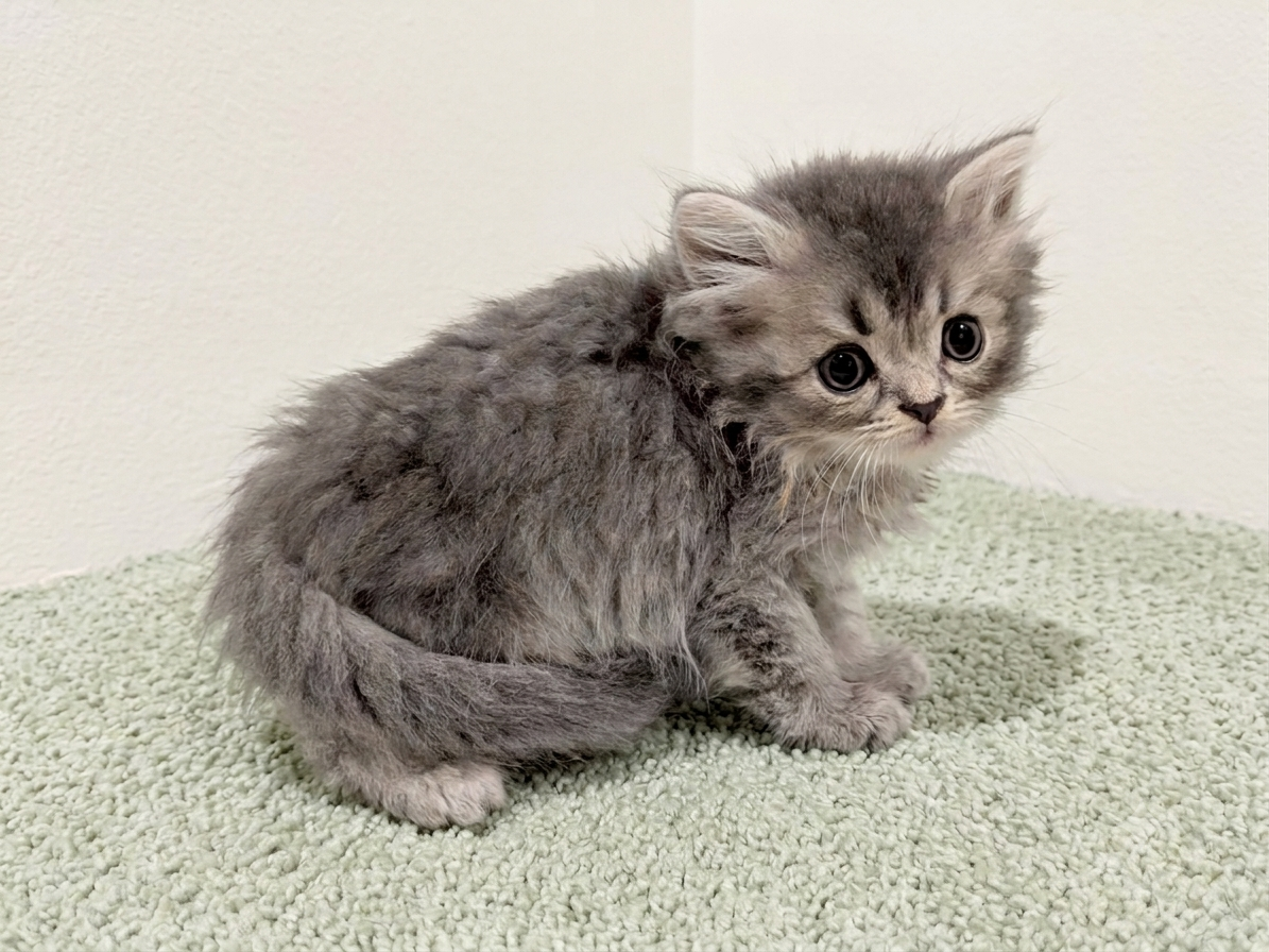 赤ちゃん写真2-3