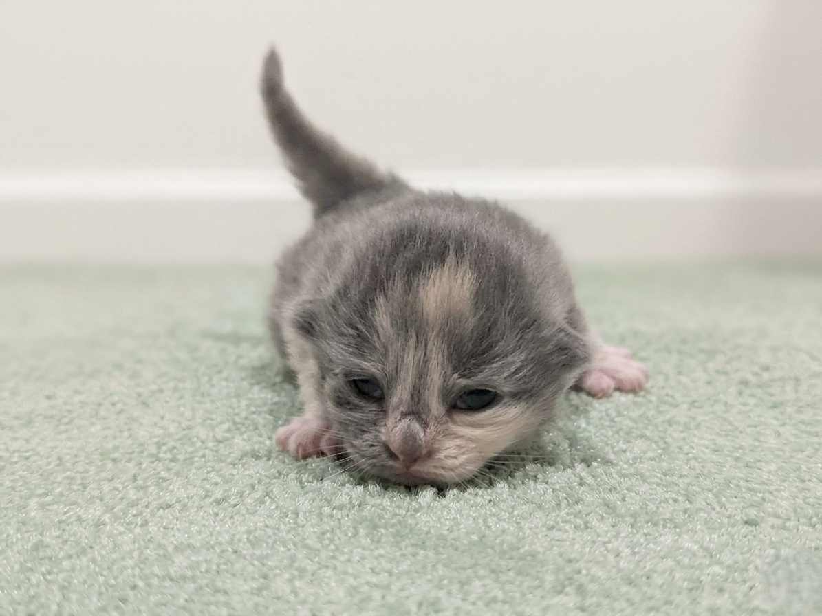 赤ちゃん写真1-1