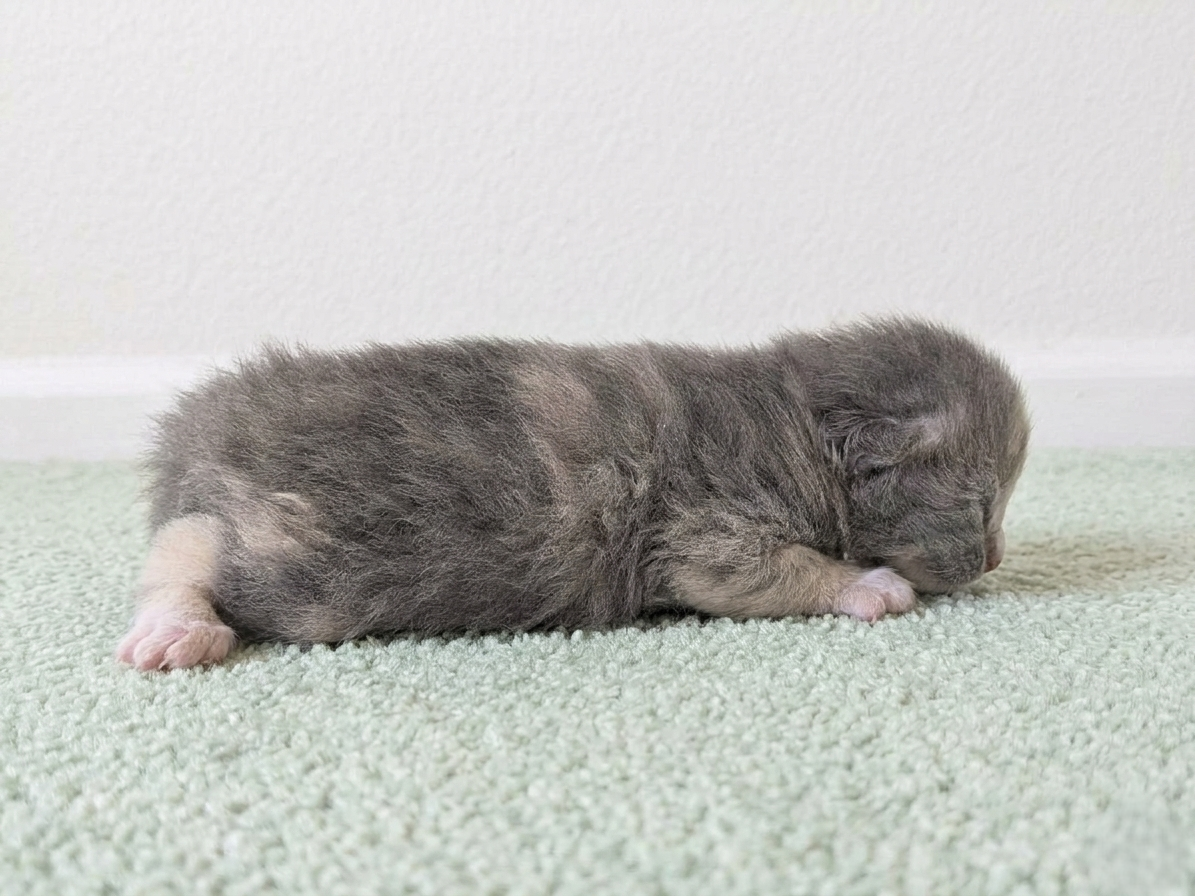 赤ちゃん写真1-2