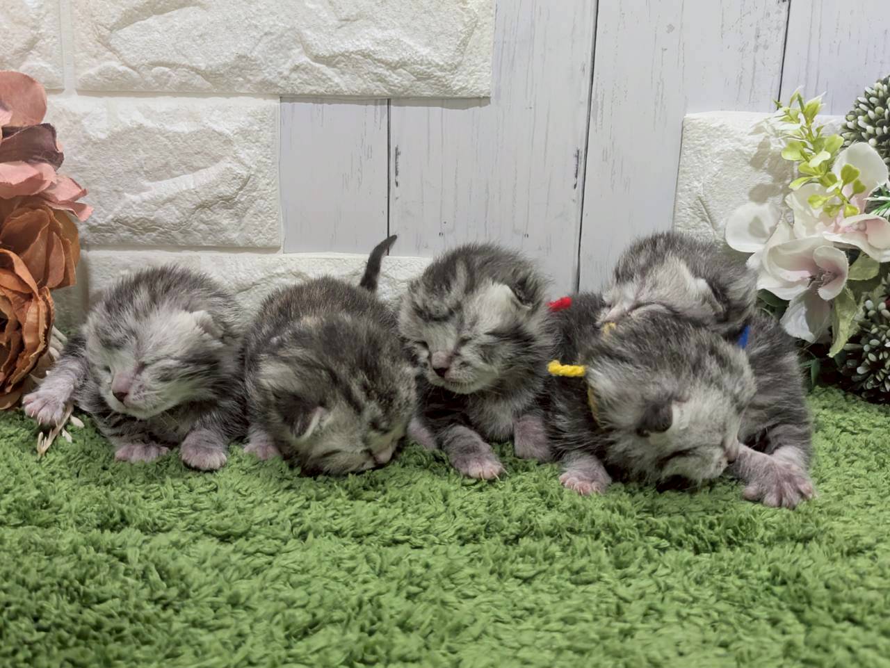 赤ちゃん写真1-3