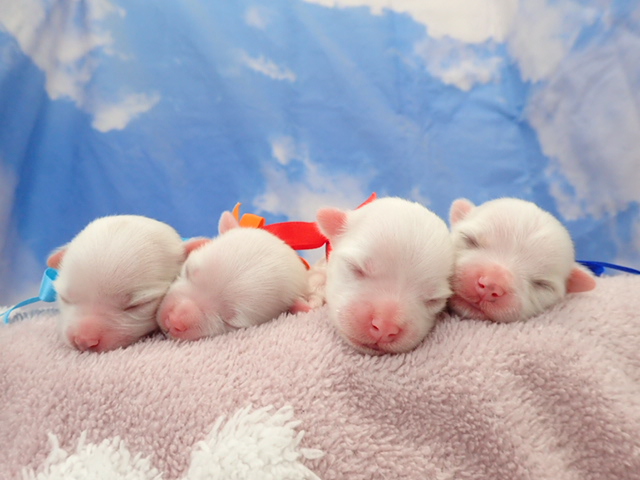 赤ちゃん写真1-3