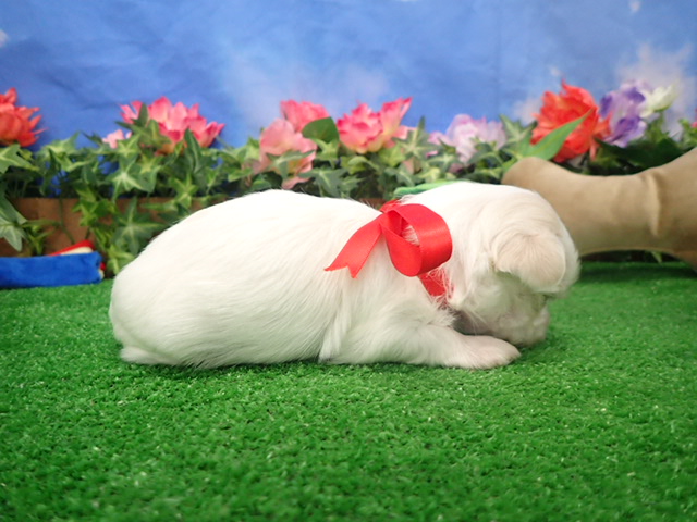 赤ちゃん写真2-2