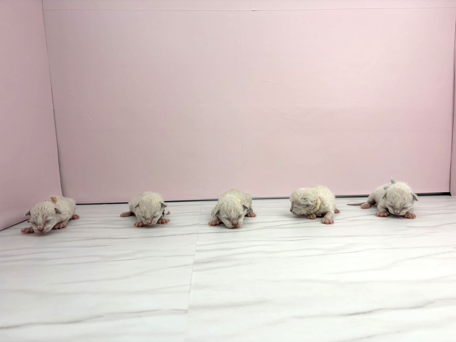 赤ちゃん写真1-3