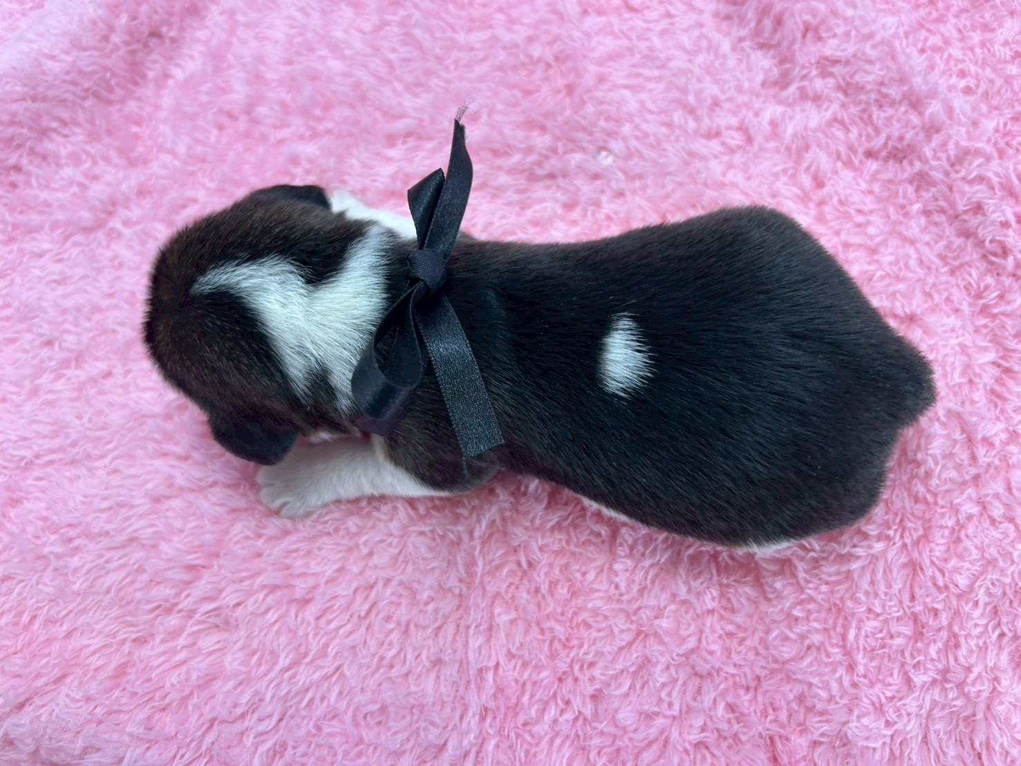 赤ちゃん写真1-3