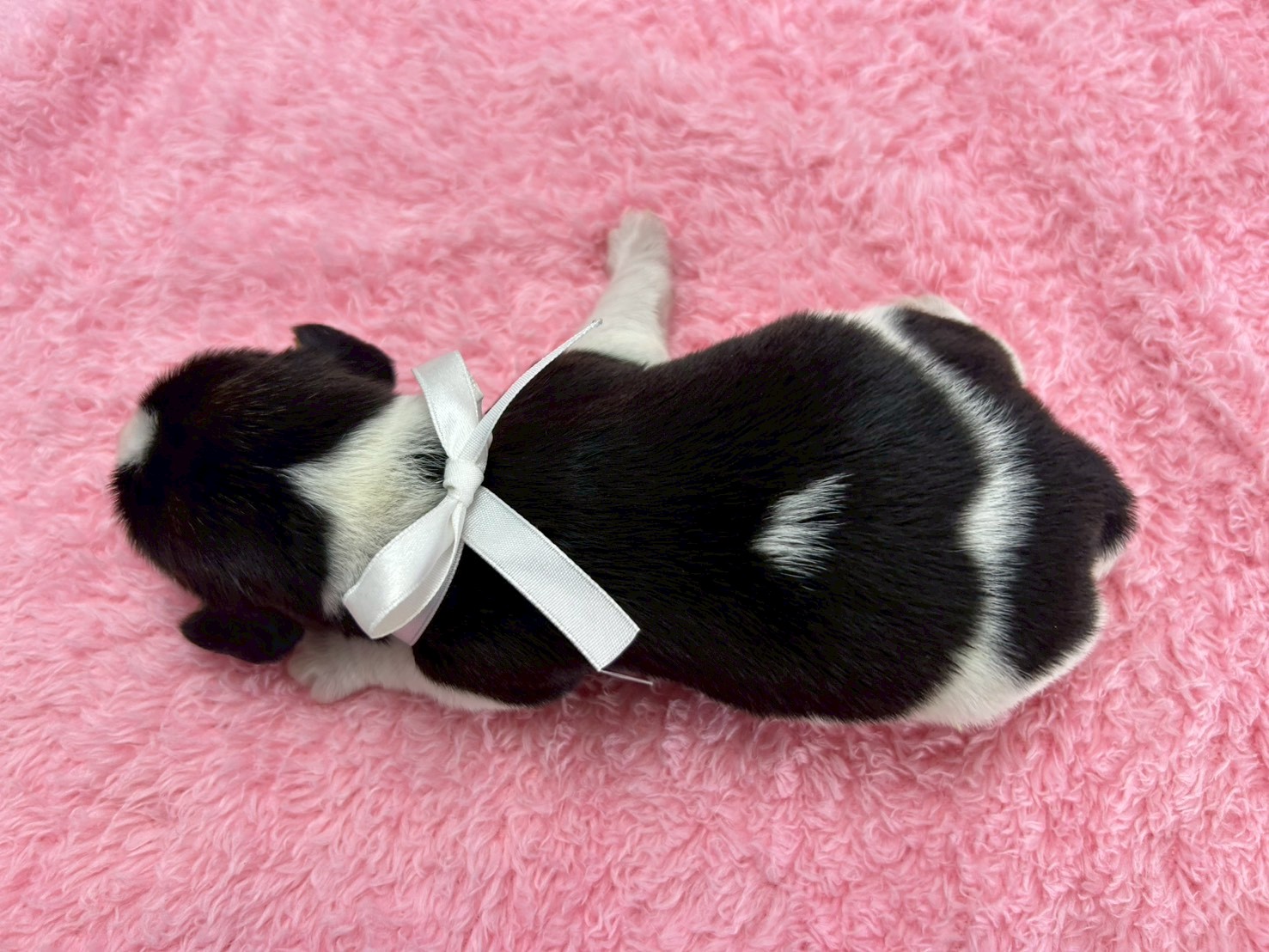 赤ちゃん写真1-3