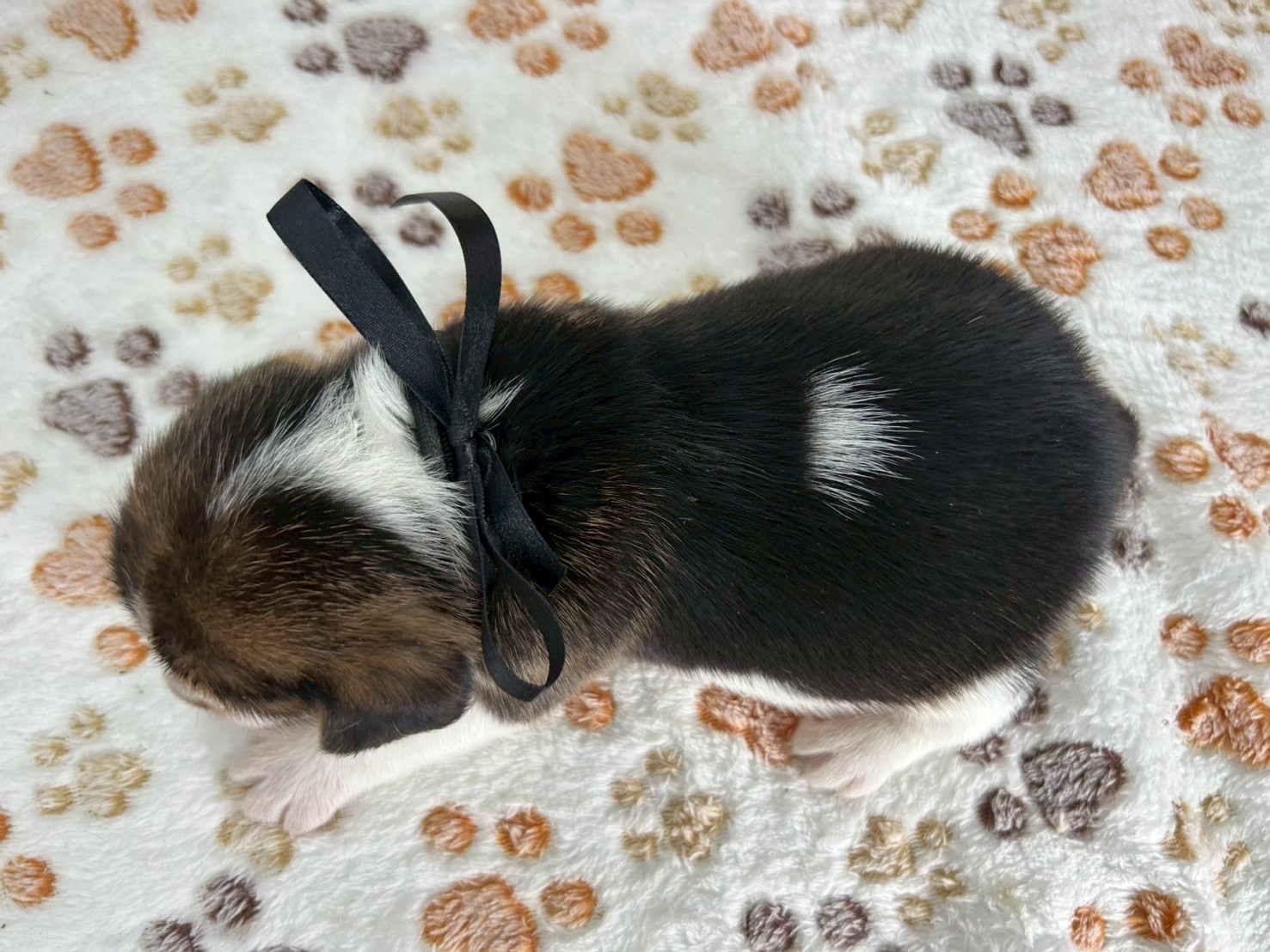 赤ちゃん写真2-3