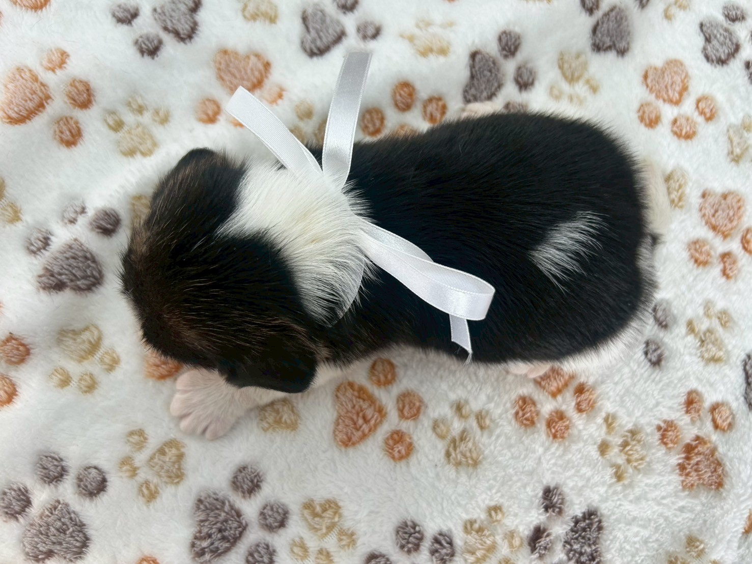 赤ちゃん写真2-3