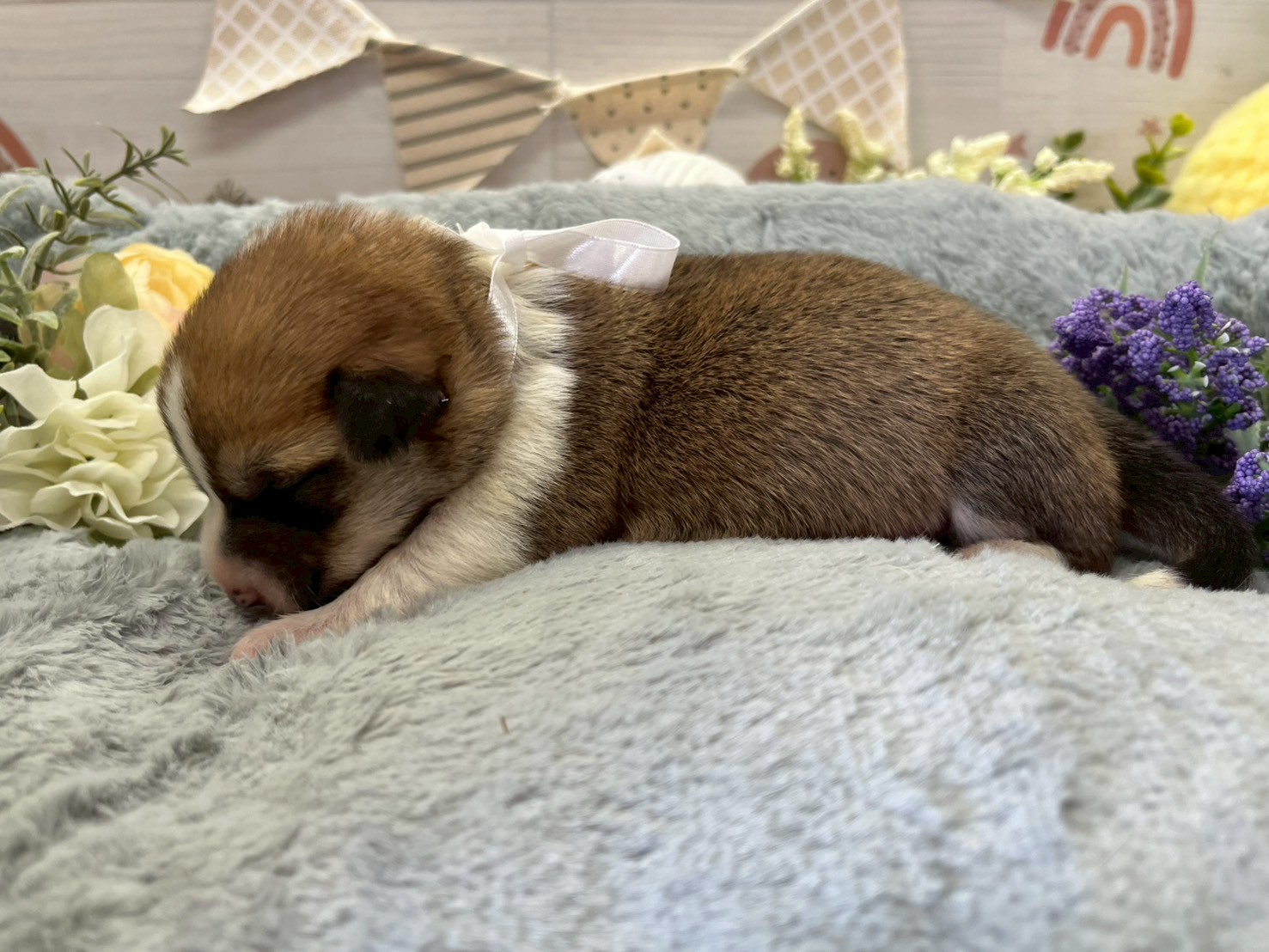 赤ちゃん写真1-2