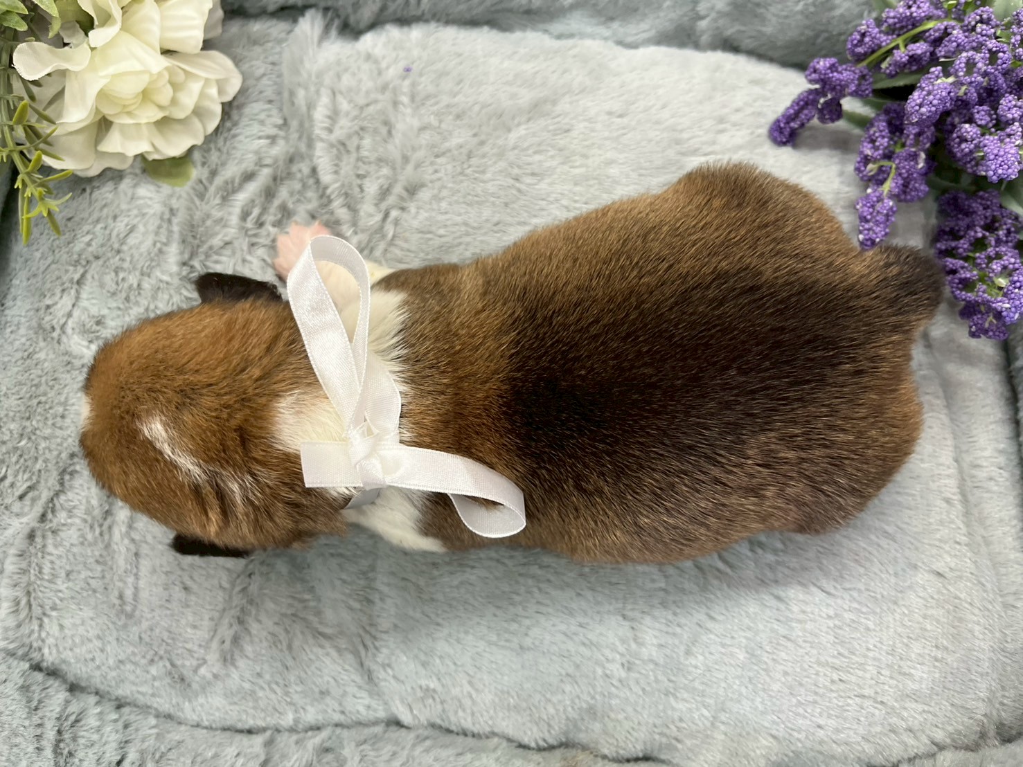 赤ちゃん写真1-3