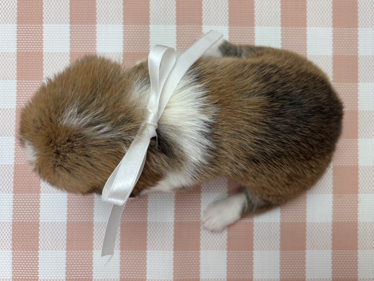 赤ちゃん写真2-3