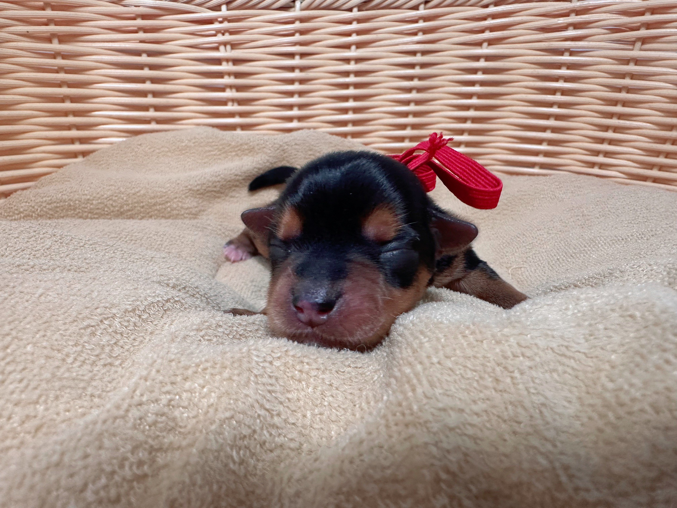 赤ちゃん写真1-1