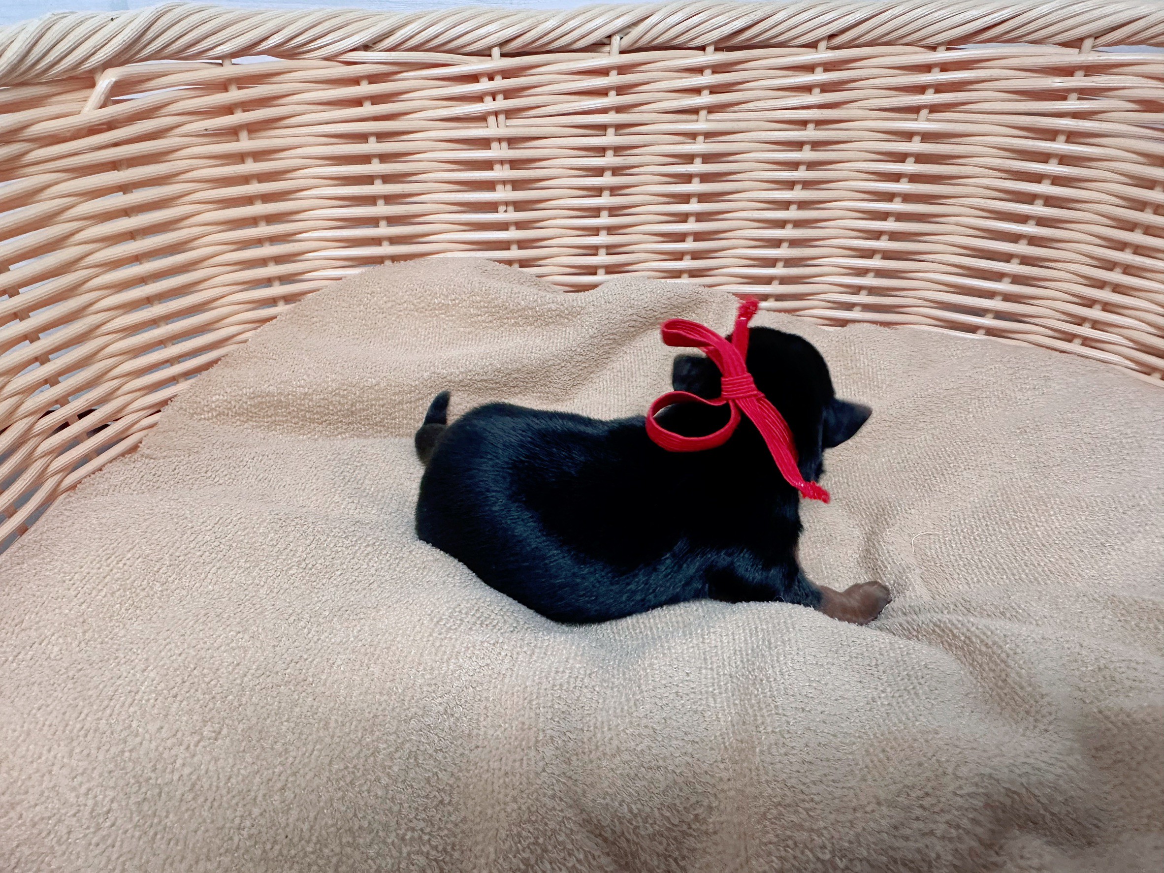 赤ちゃん写真1-2