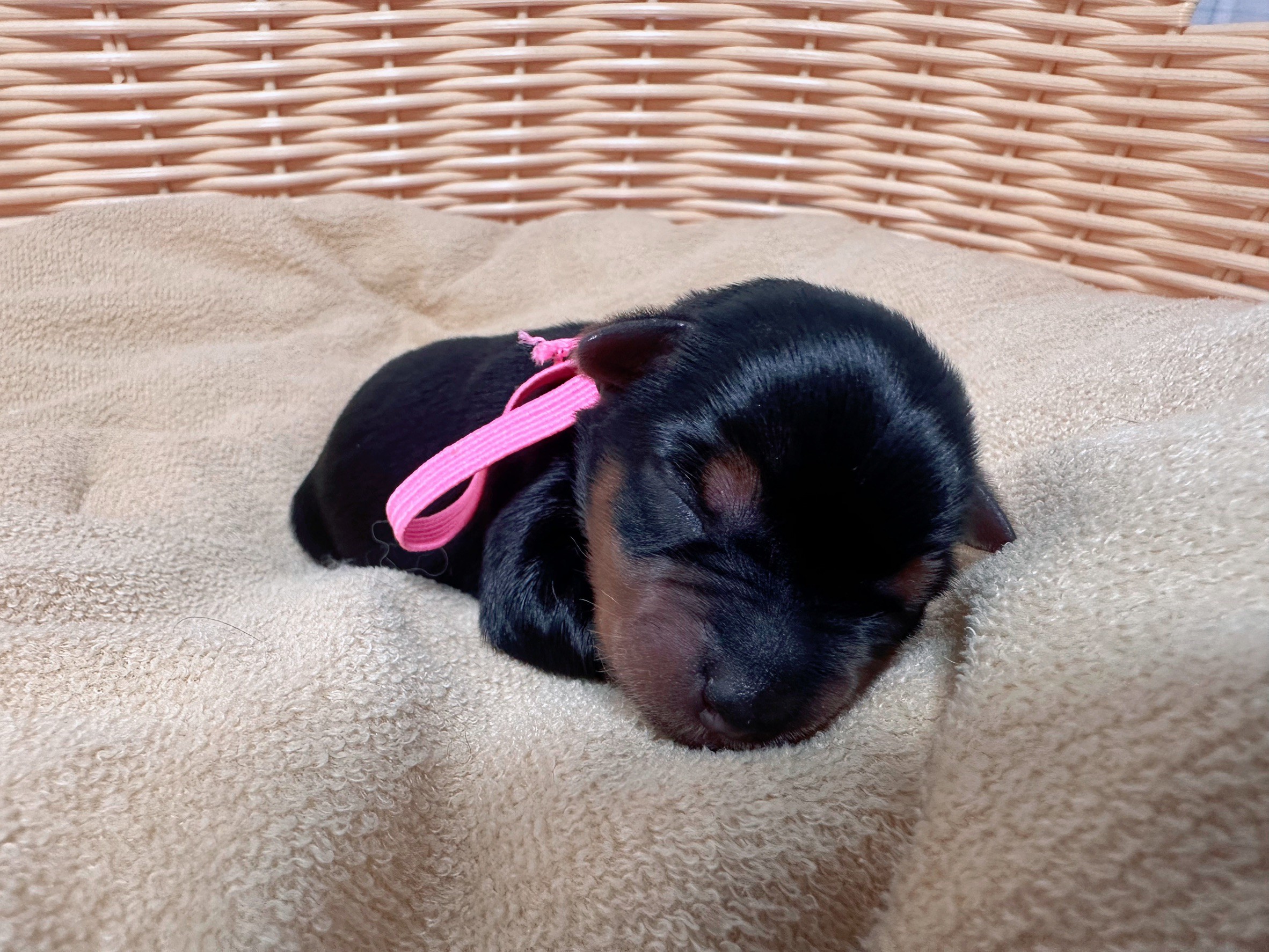 赤ちゃん写真1-1
