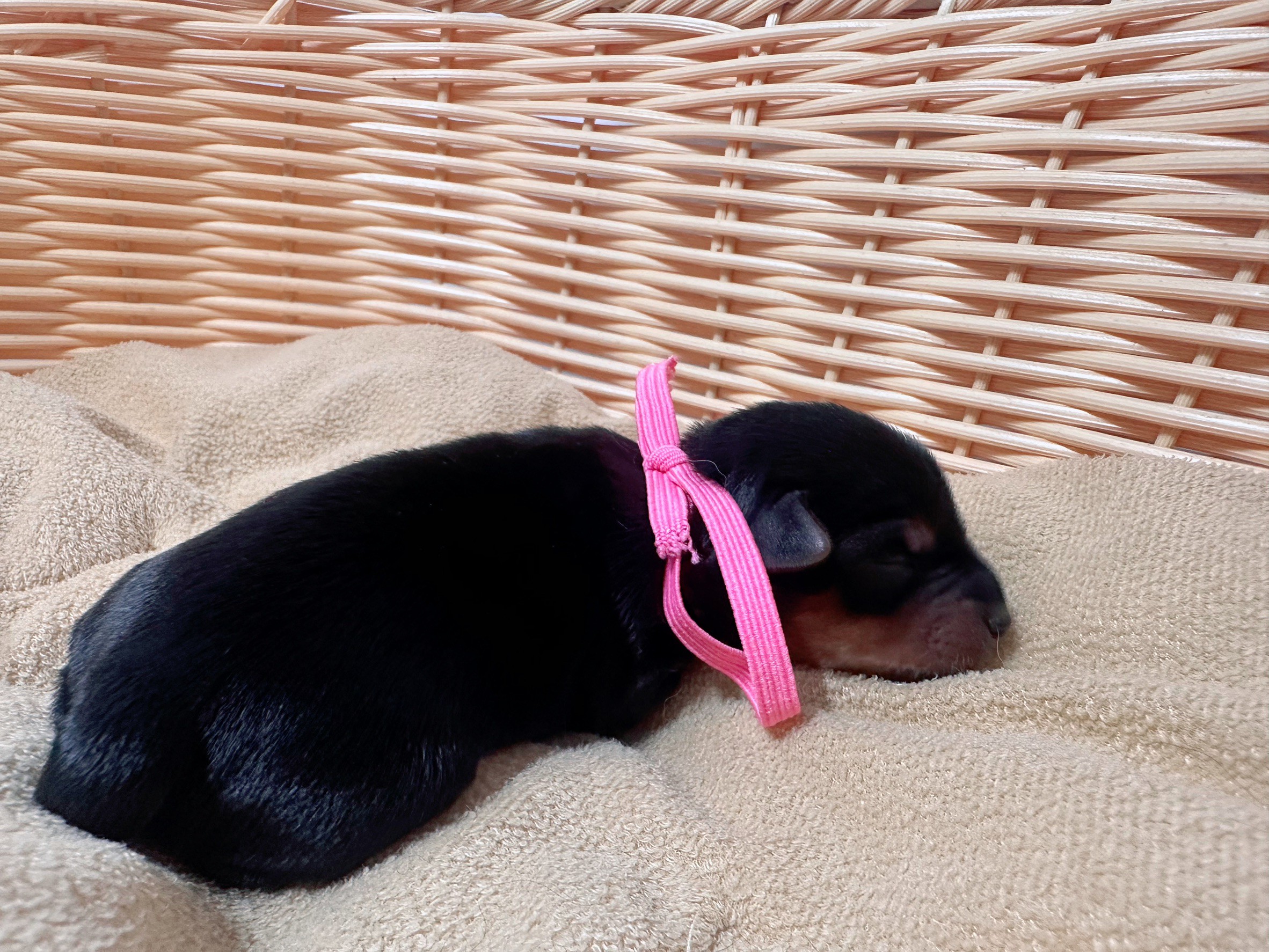 赤ちゃん写真1-2