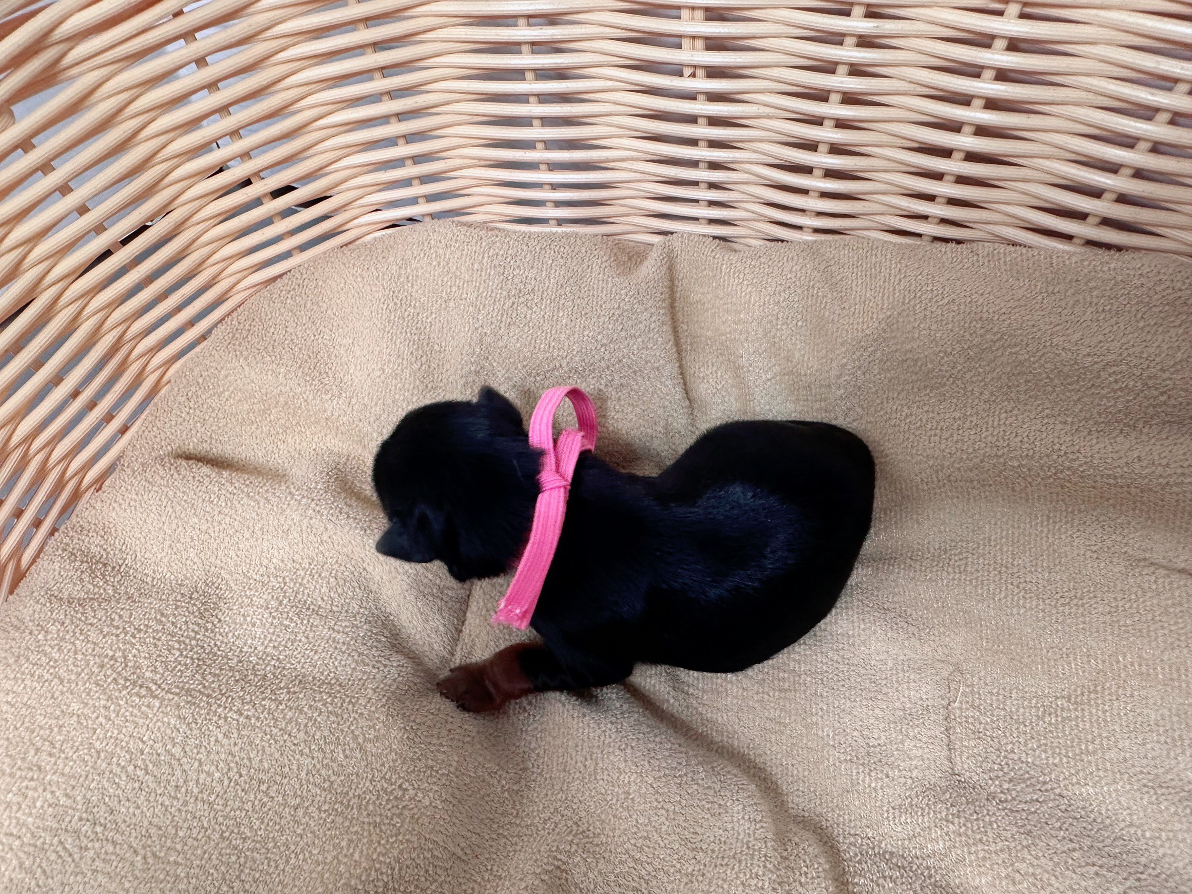 赤ちゃん写真1-3