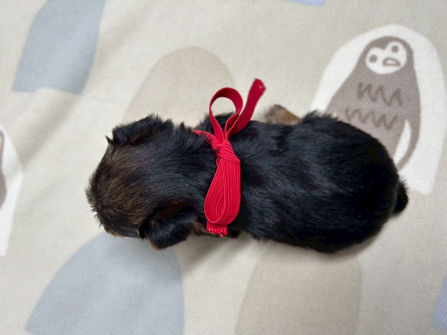 赤ちゃん写真2-3