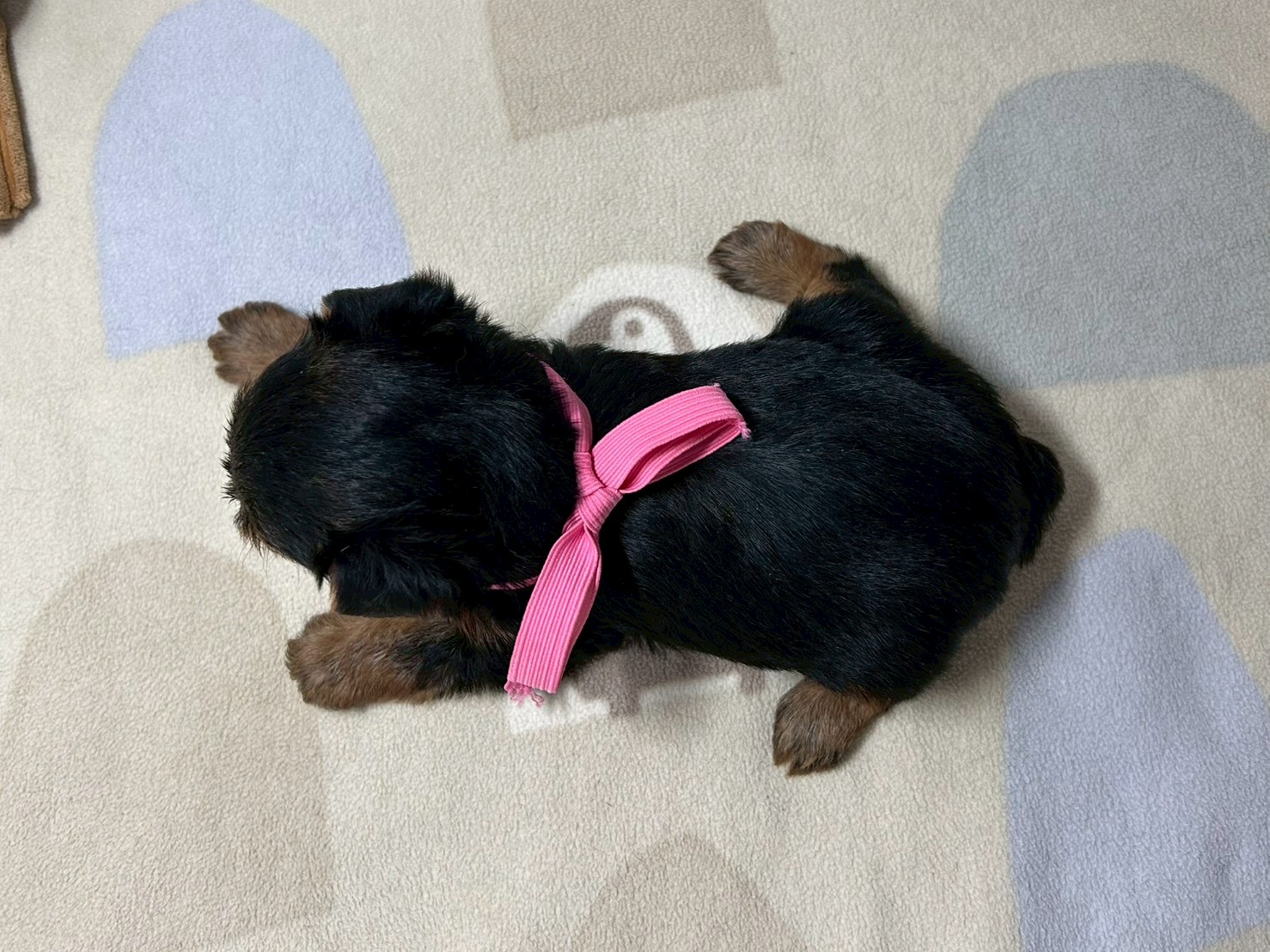 赤ちゃん写真2-3