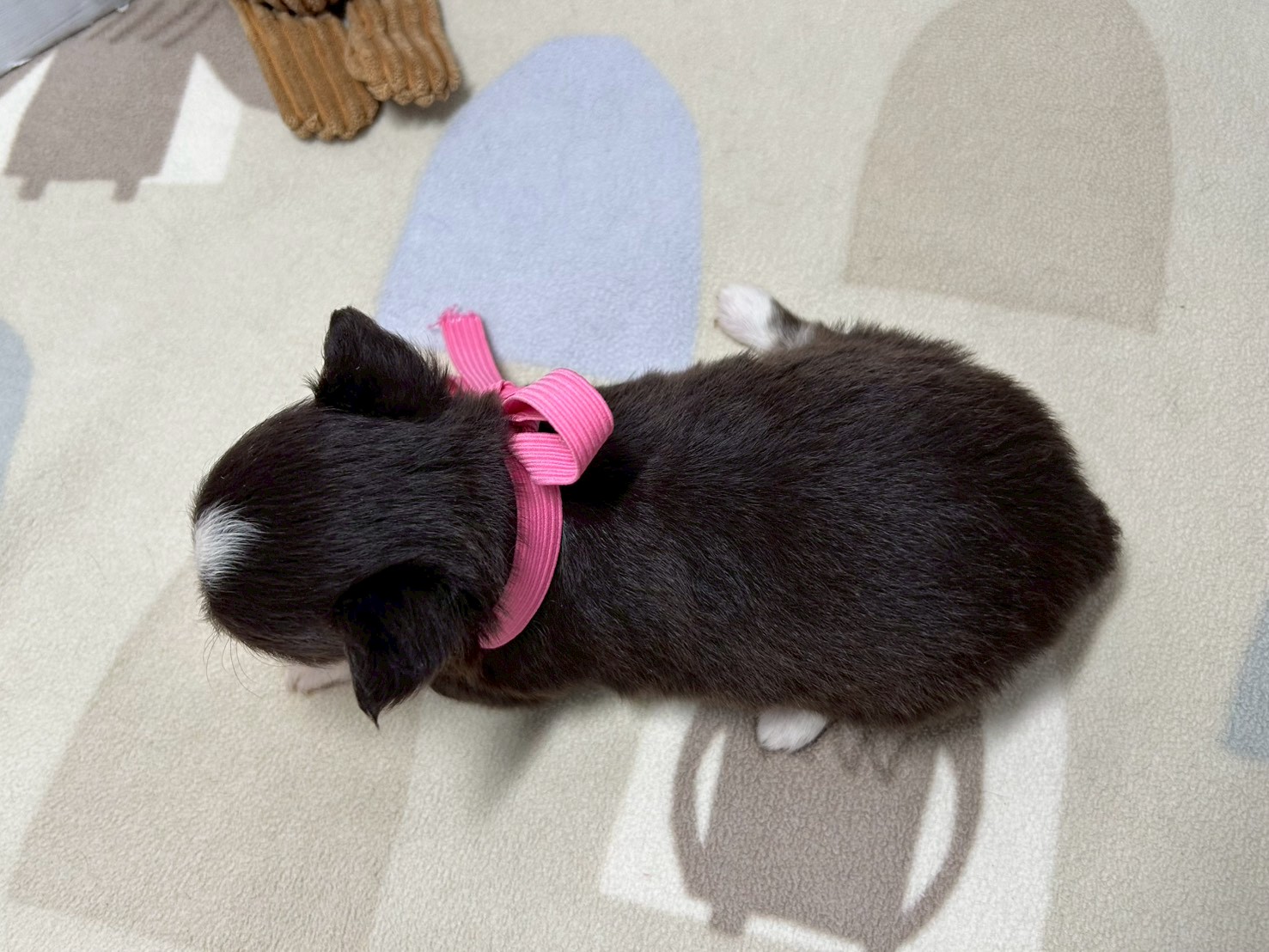 赤ちゃん写真2-3