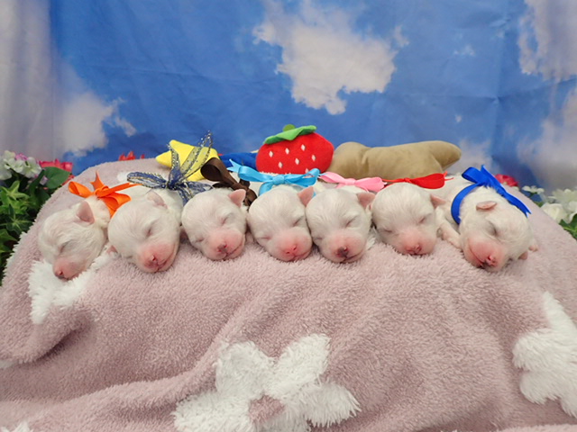 赤ちゃん写真1-3