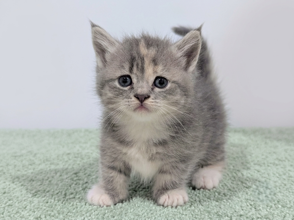 赤ちゃん写真2-1