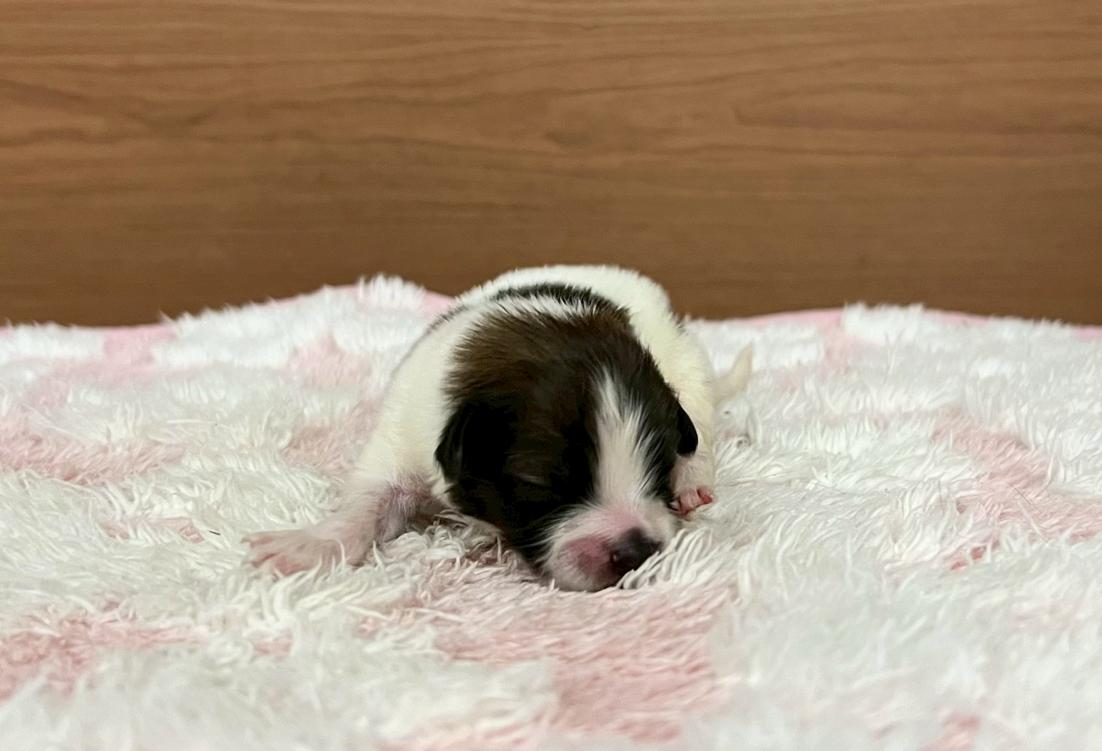 赤ちゃん写真1-1