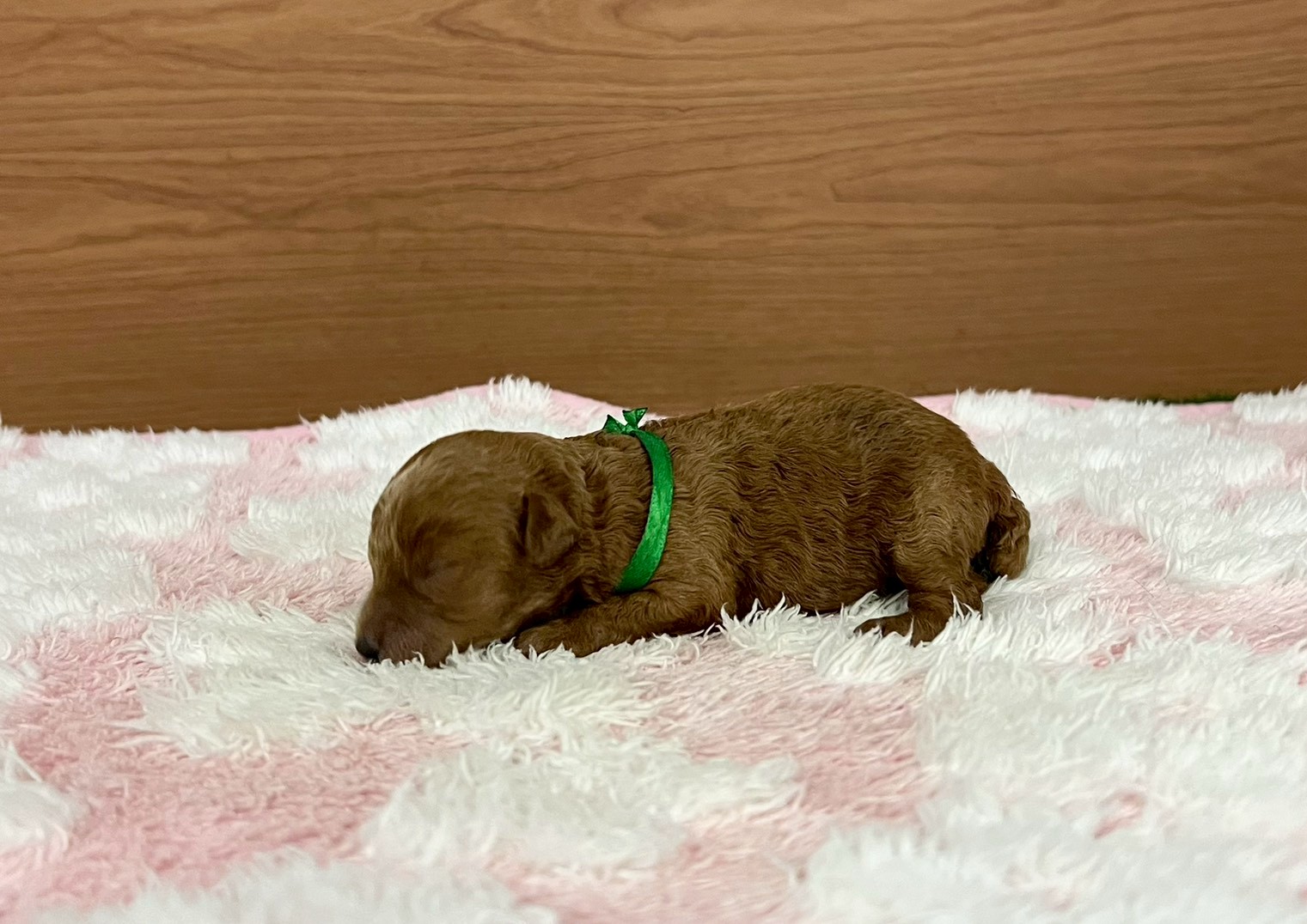 赤ちゃん写真1-2