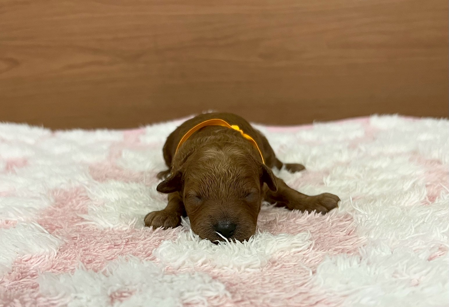 赤ちゃん写真1-1