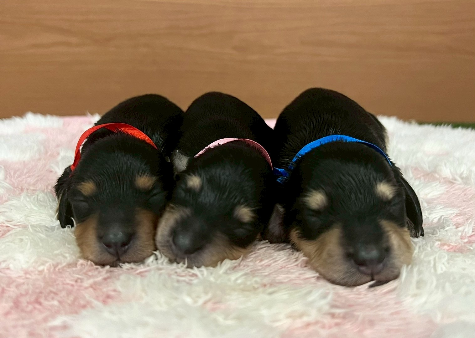 赤ちゃん写真1-3
