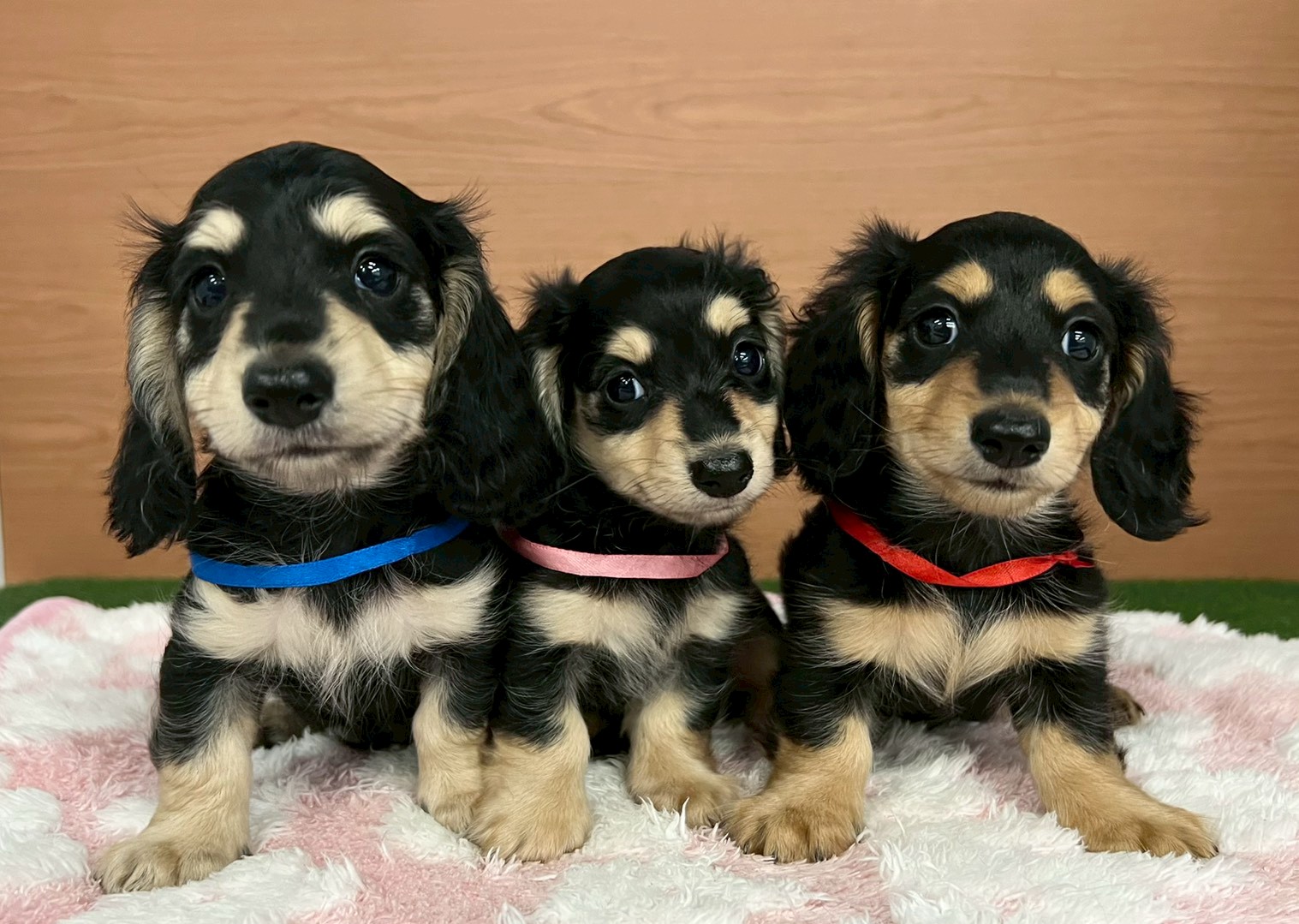 赤ちゃん写真3-3