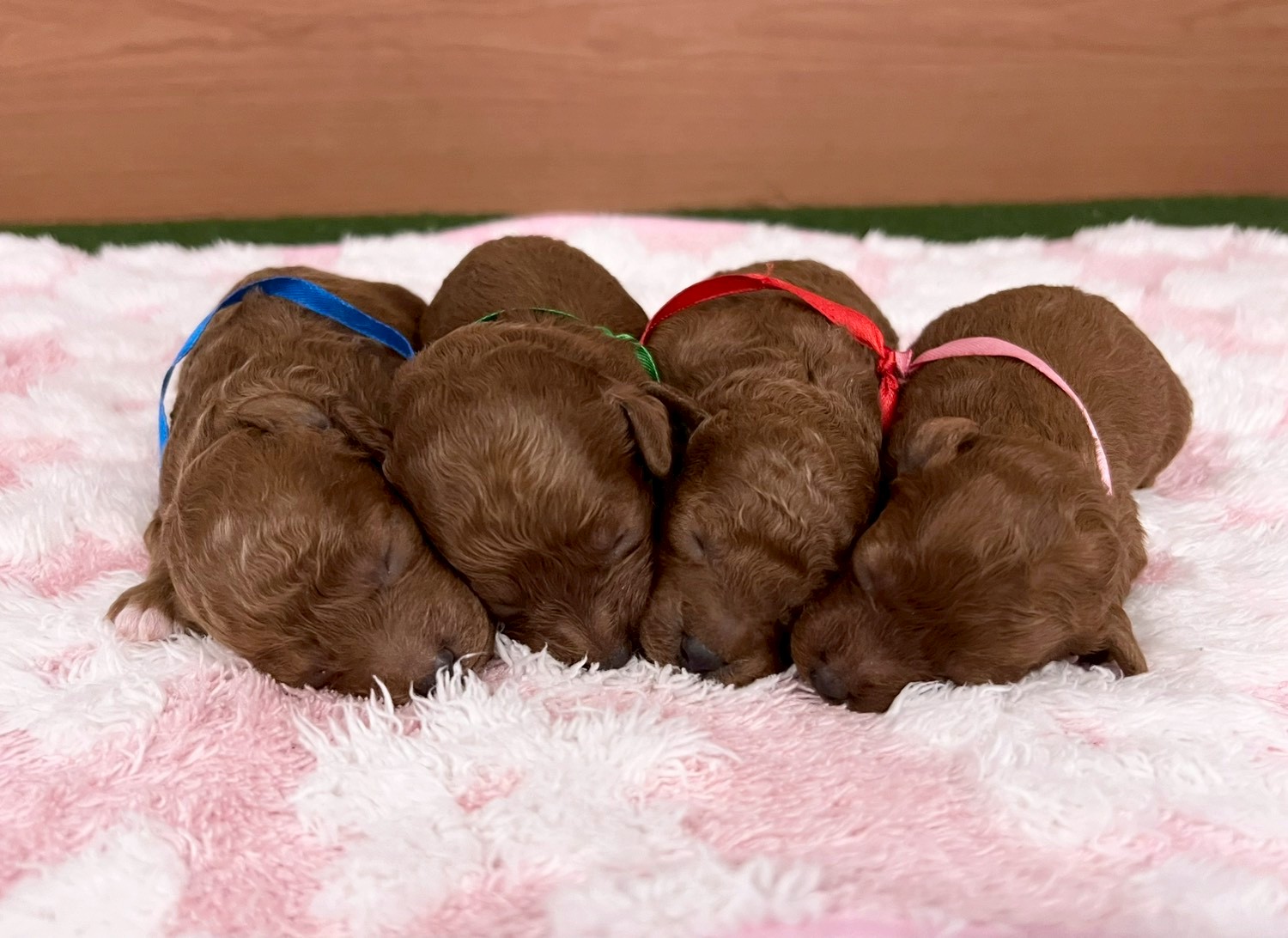 赤ちゃん写真1-3