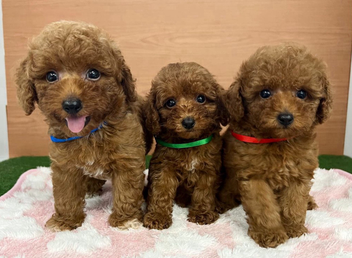 赤ちゃん写真3-3