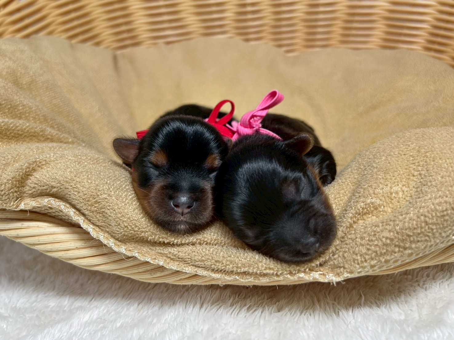 赤ちゃん写真1-3