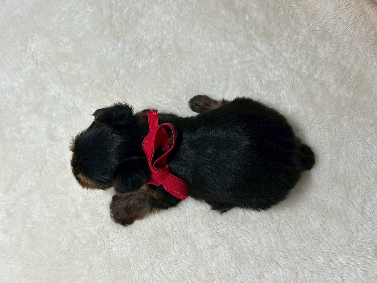 赤ちゃん写真2-3