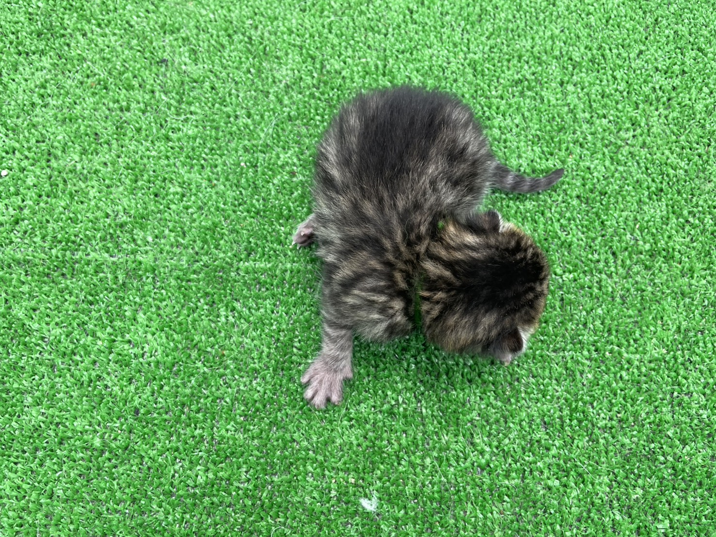 赤ちゃん写真1-3